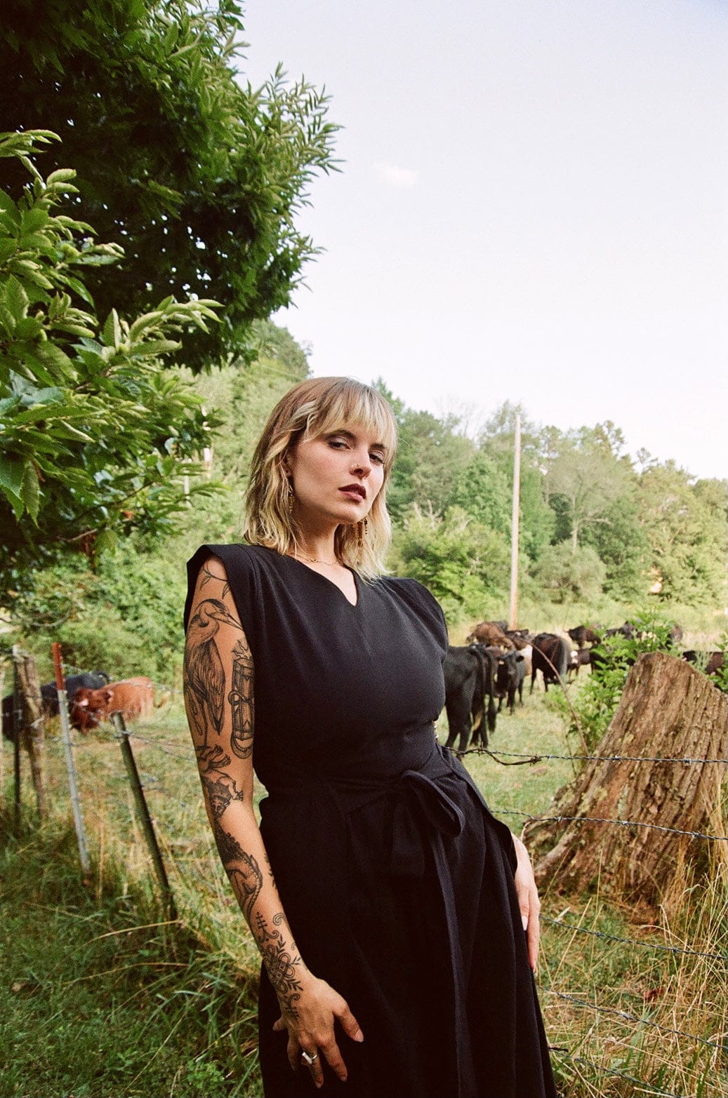 Field Day Dress Ivy Dress in Black