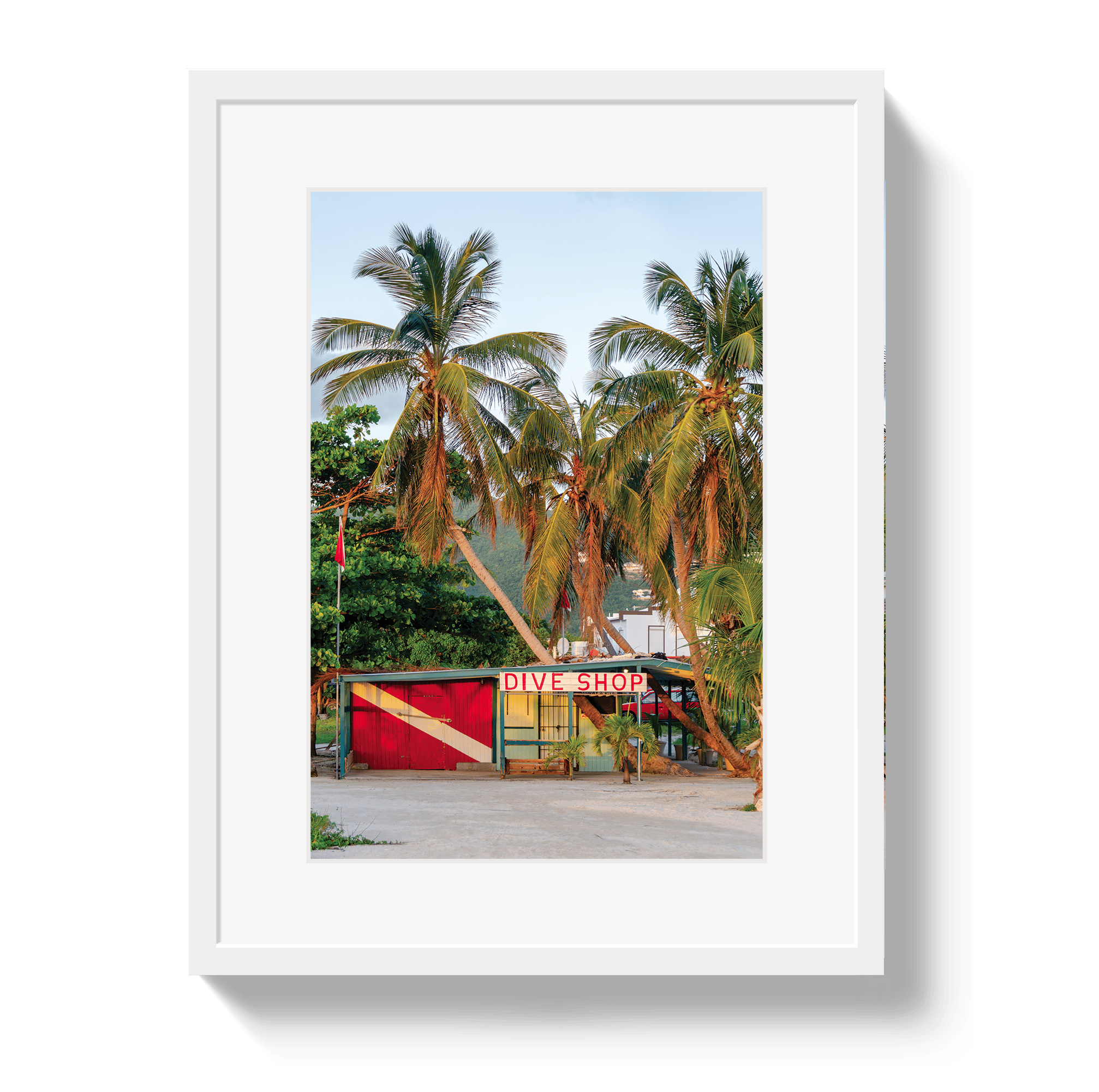 Johnny Vacay White / 11x14 / Border Dive Shop