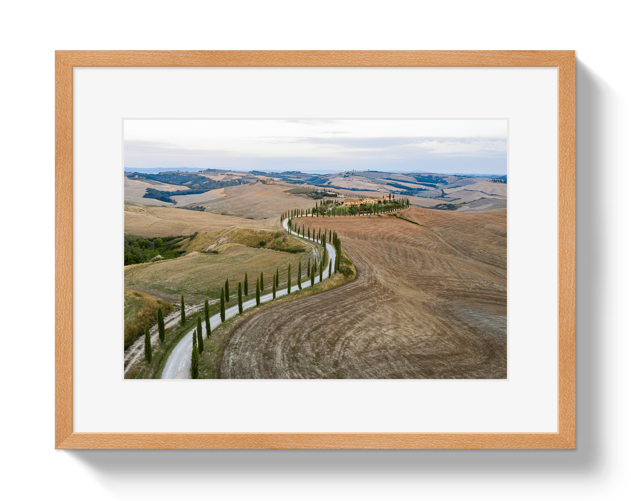 Johnny Vacay Oak / 11x14 / Border Road To Tuscany