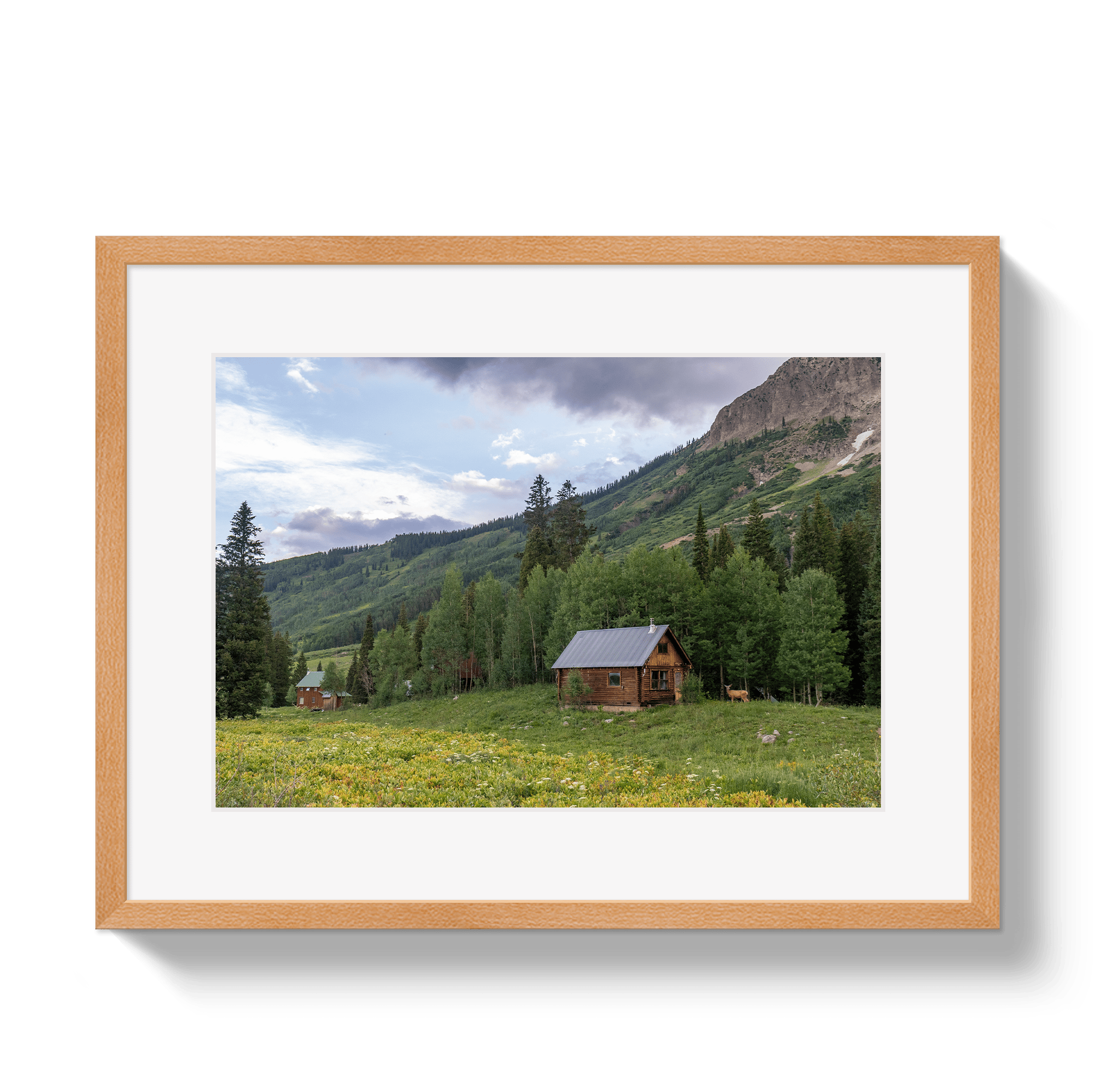 Johnny Vacay Oak / 11x14 / Matte Mountain Magic