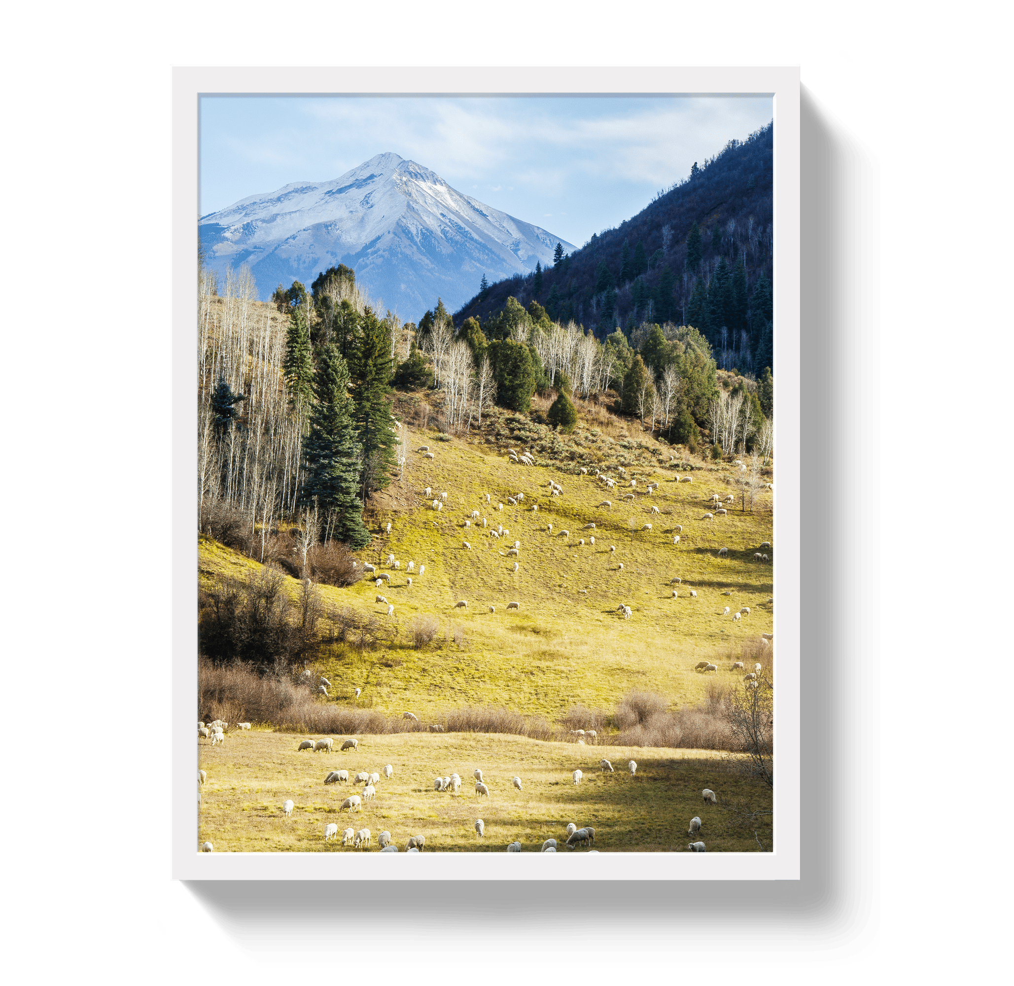 Johnny Vacay White / 11x14 / Full Bleed Free To Roam