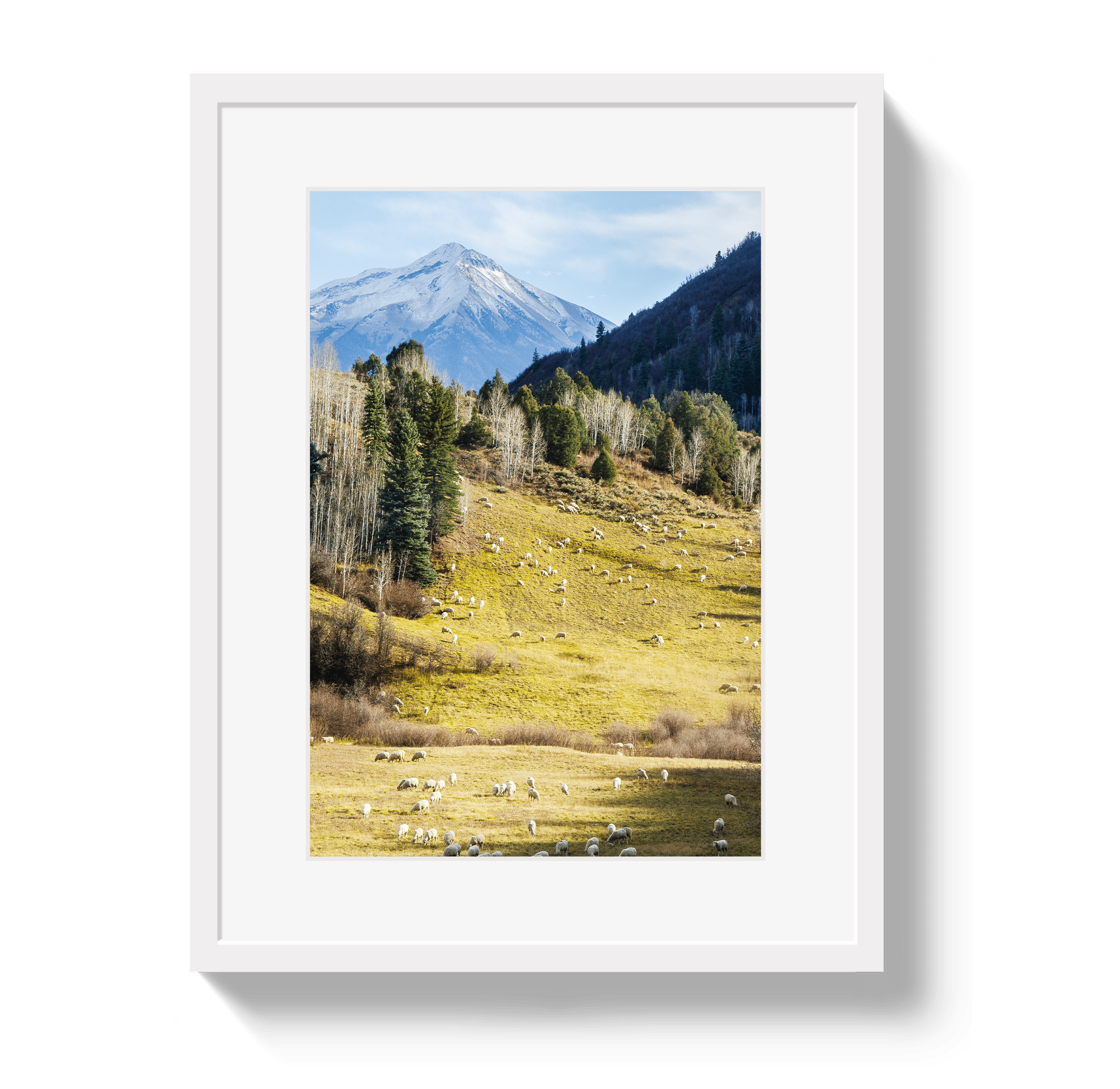 Johnny Vacay White / 11x14 / Border Free To Roam