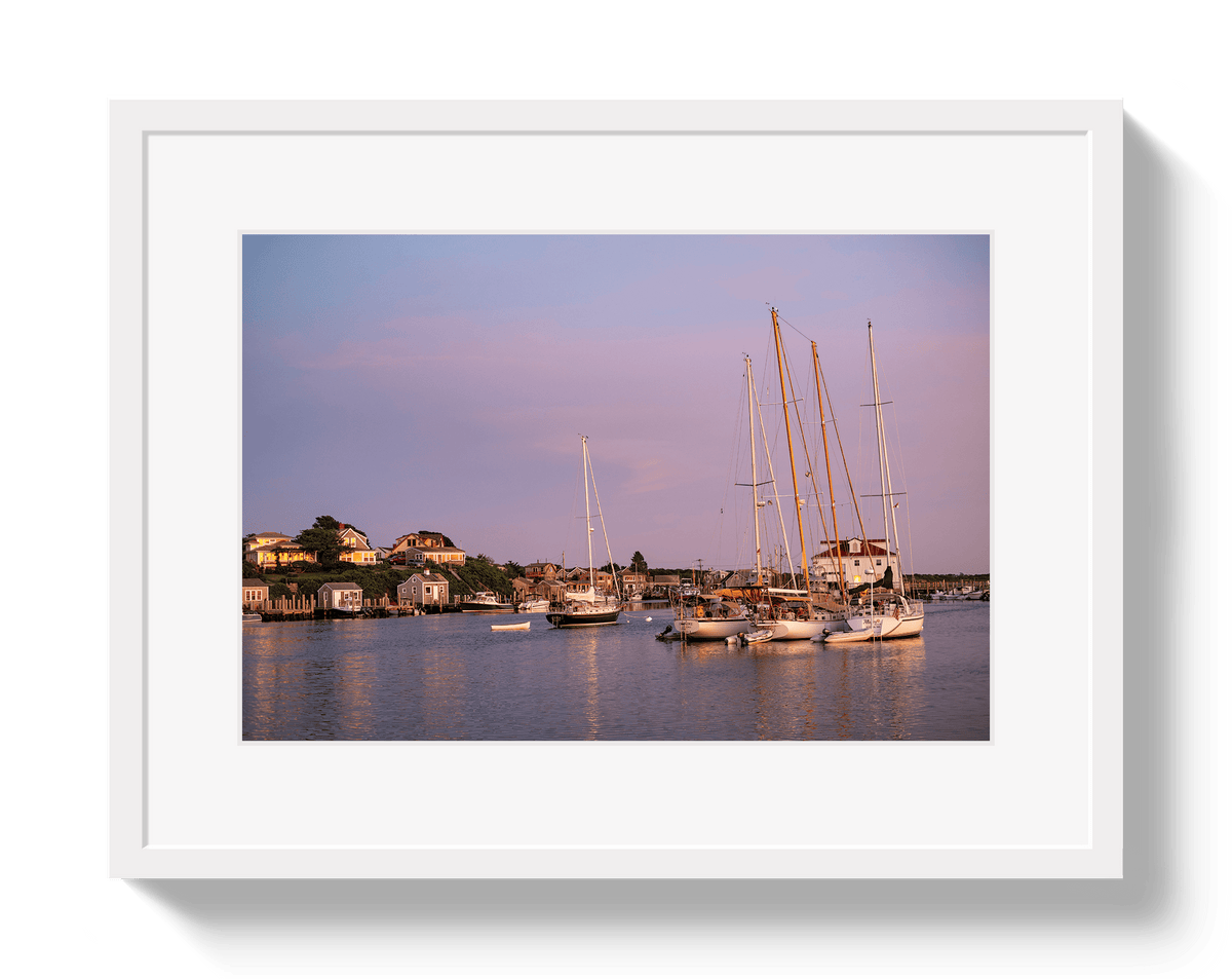 Johnny Vacay White / 11x14 / Border Menemsha Magic