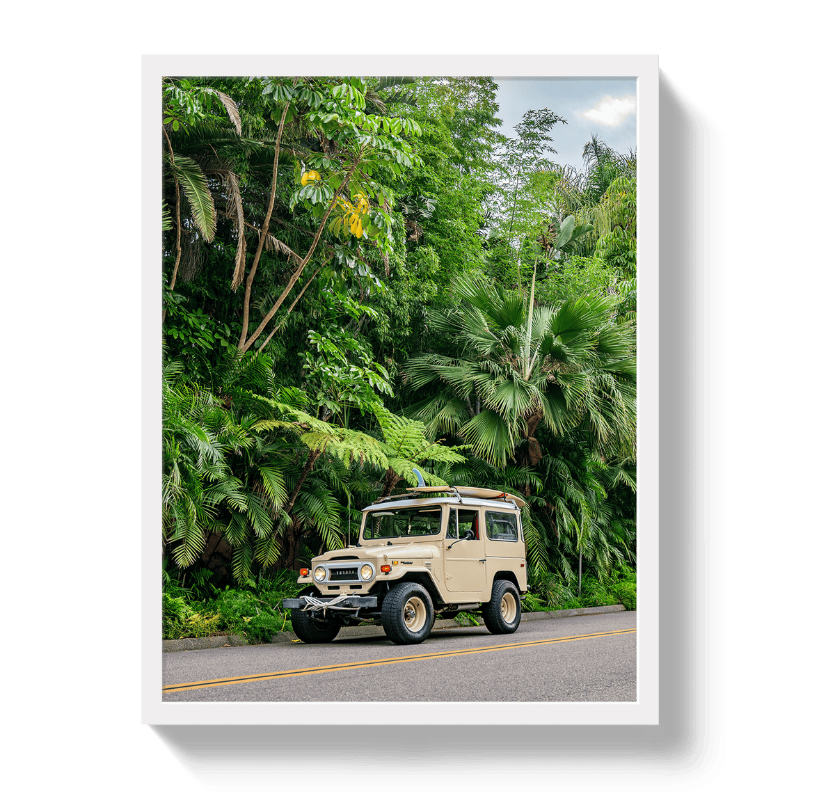 Johnny Vacay White / 11x14 / Full Bleed Tropical FJ 2