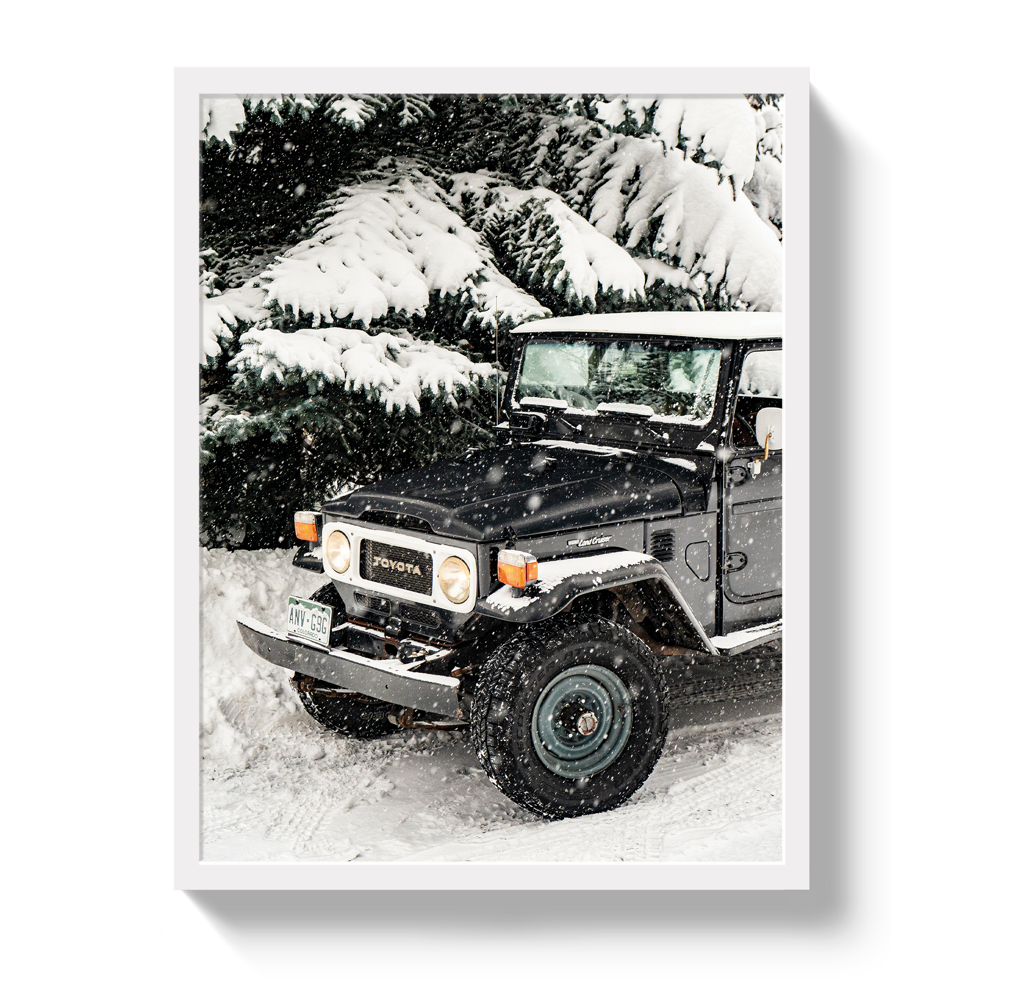 Snowy FJ