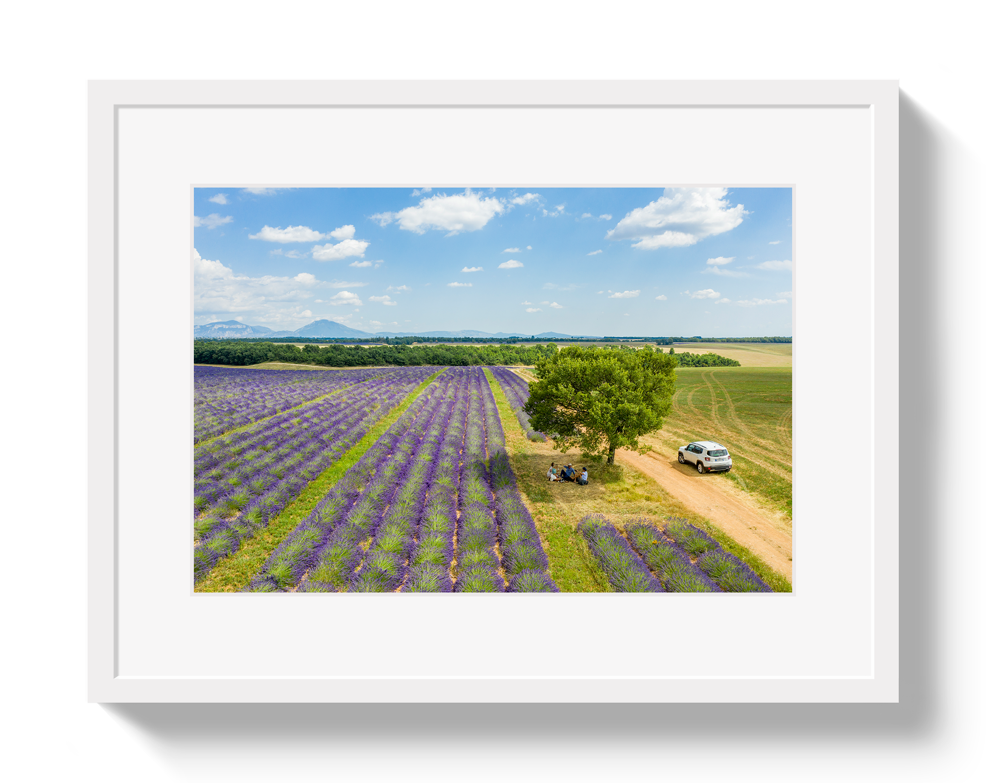 Provence Picnic