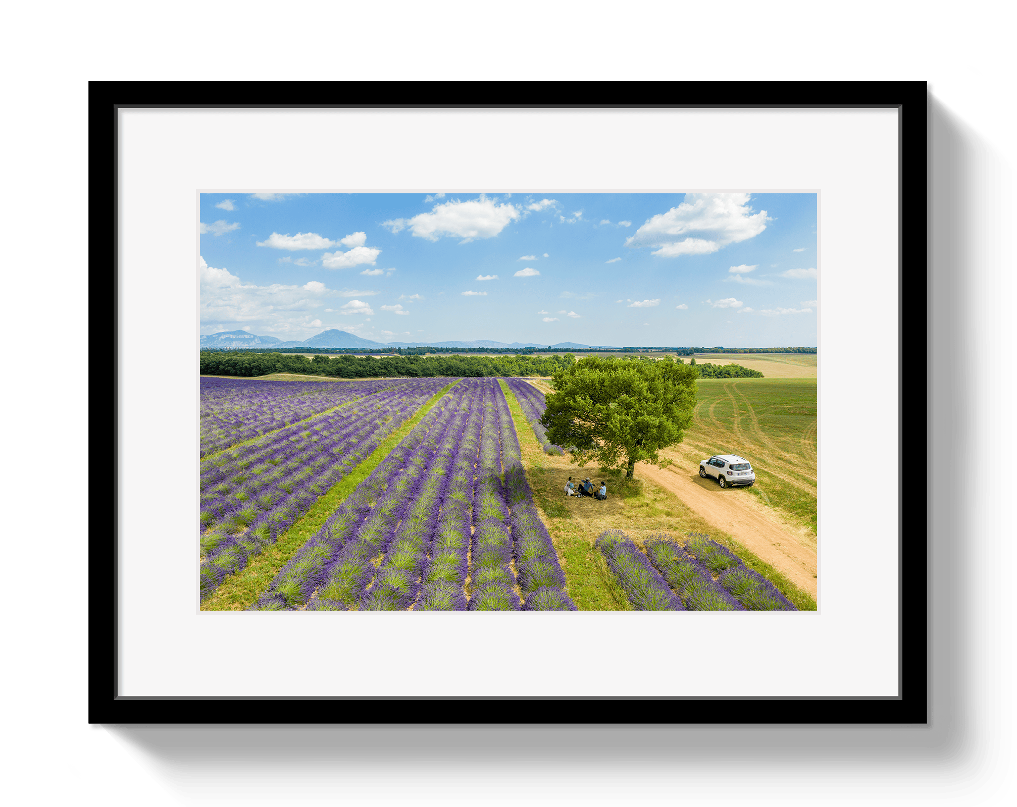 Johnny Vacay Black / 11x14 / Matte Provence Picnic