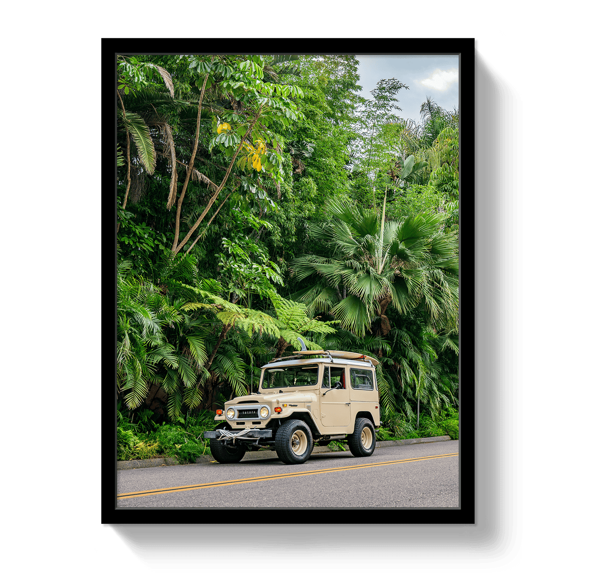 Johnny Vacay Black / 11x14 / Full Bleed Tropical FJ 2