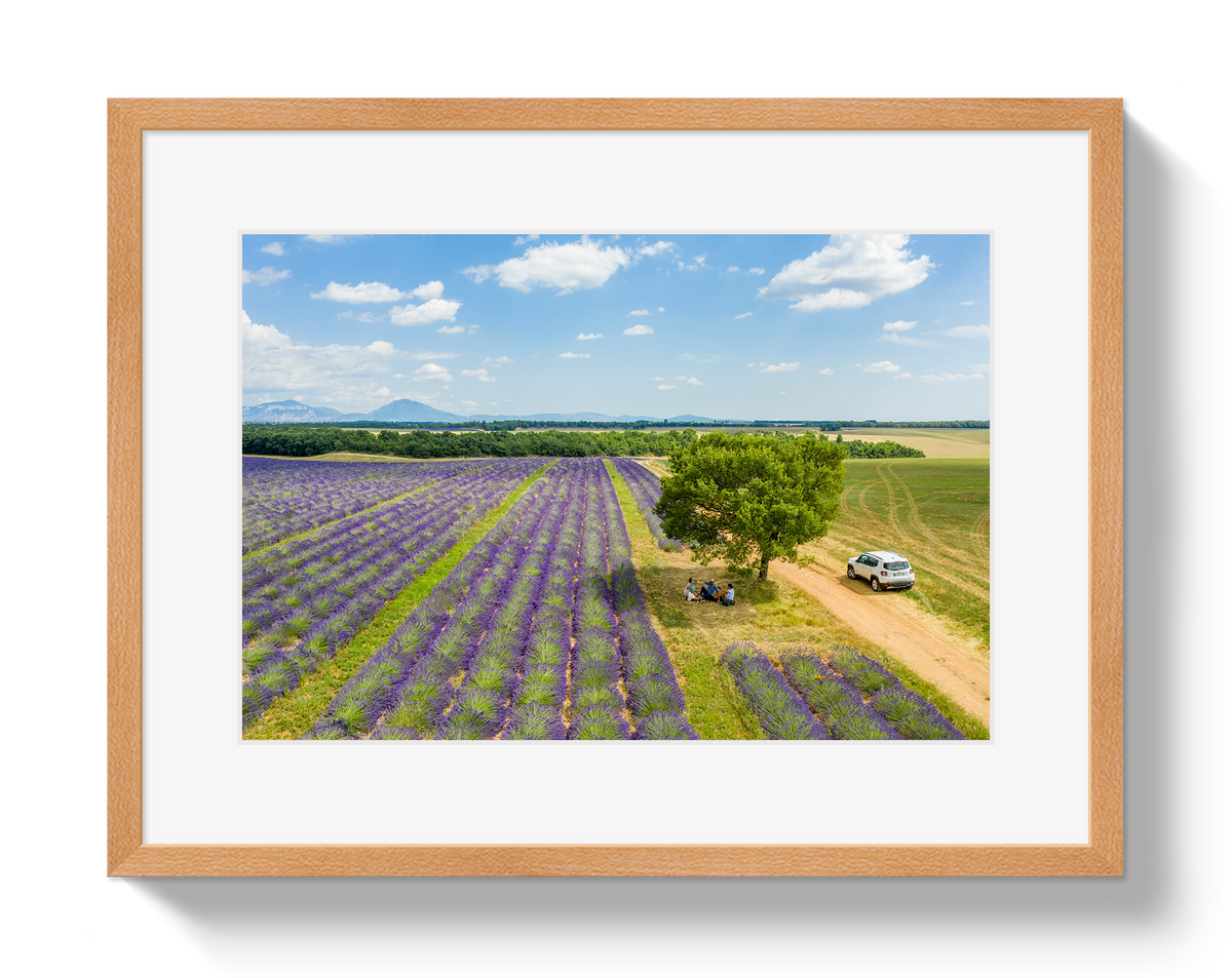 Provence Picnic