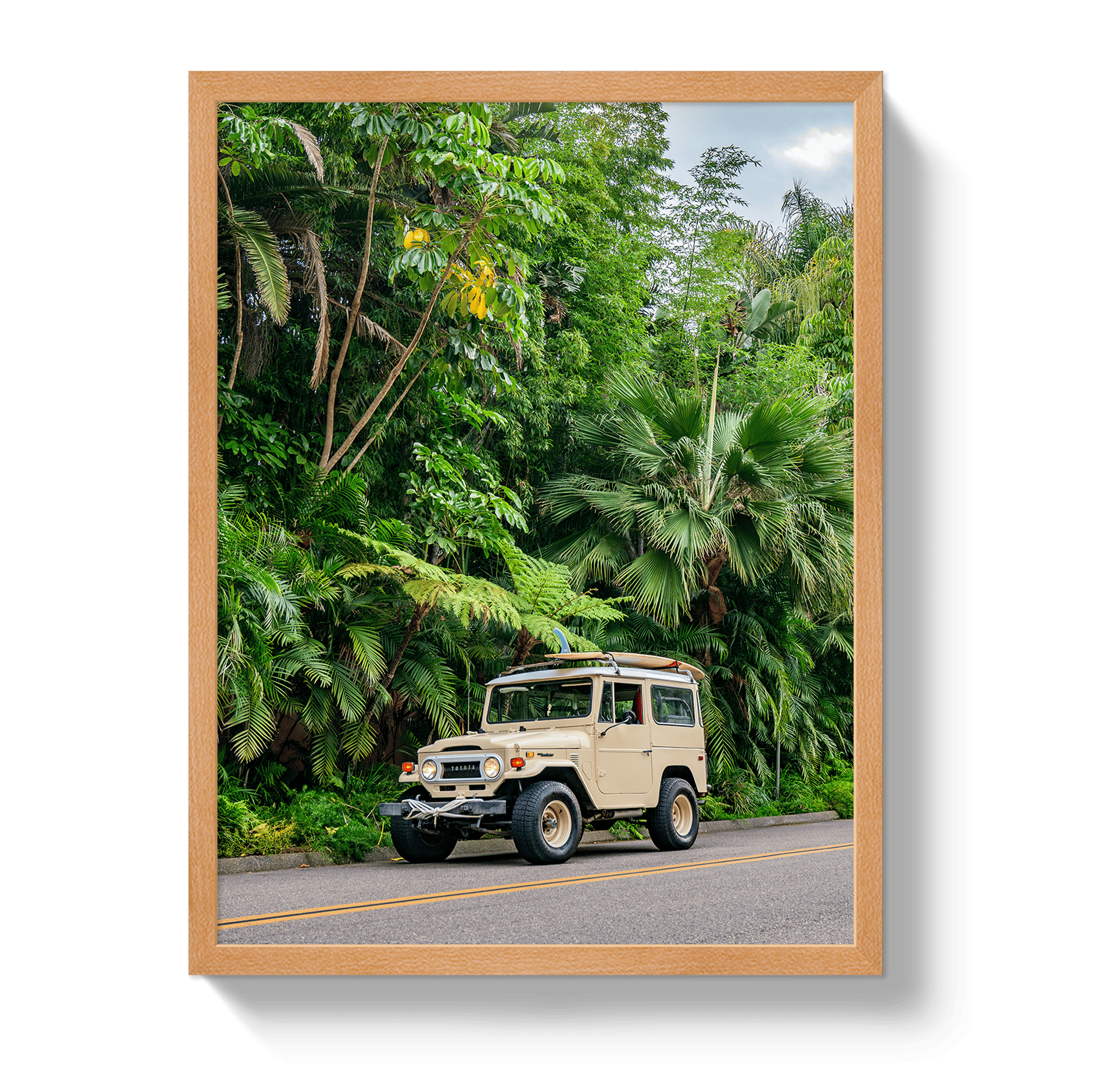 Johnny Vacay Oak / 11x14 / Full Bleed Tropical FJ 2