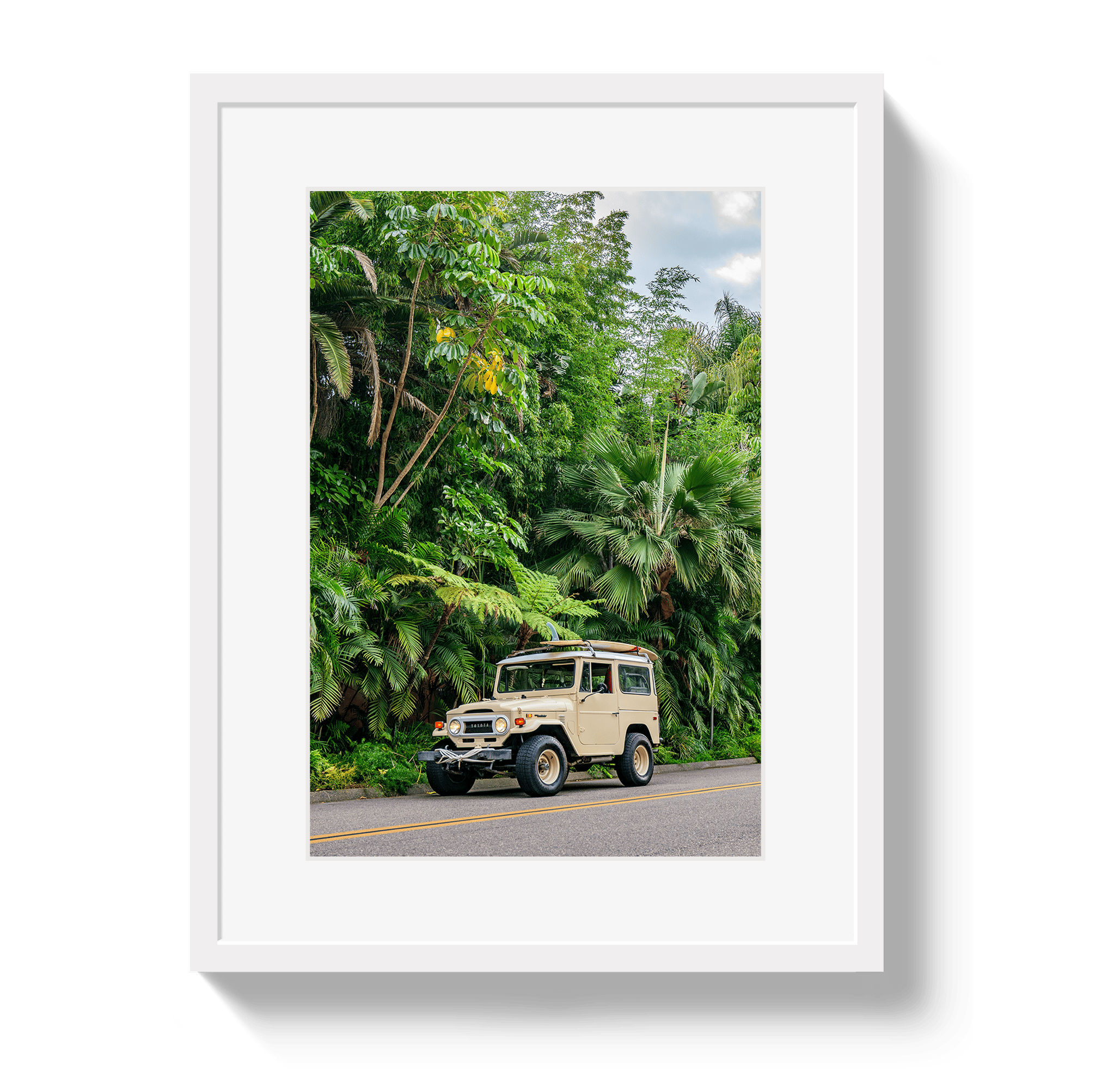 Johnny Vacay White / 11x14 / Border Tropical FJ 2