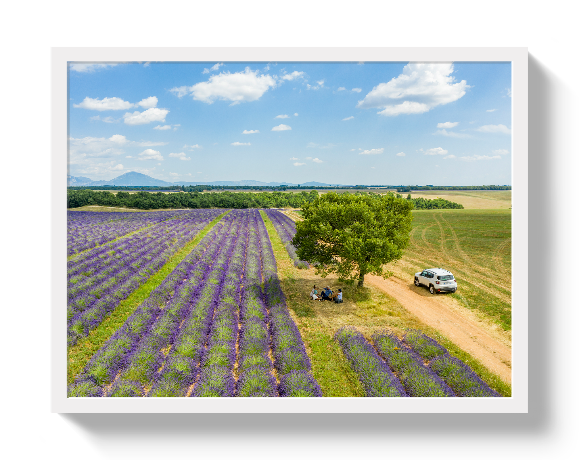 Provence Picnic