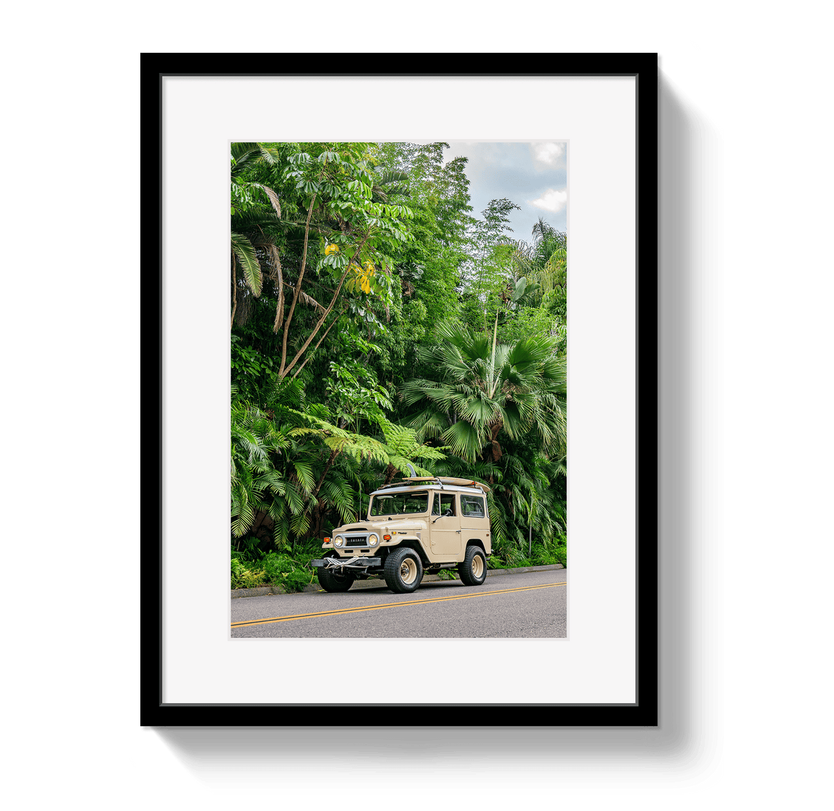 Johnny Vacay Black / 11x14 / Border Tropical FJ 2