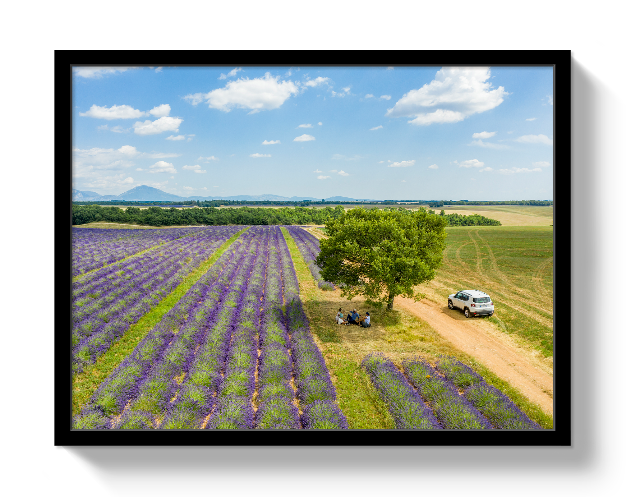 Provence Picnic