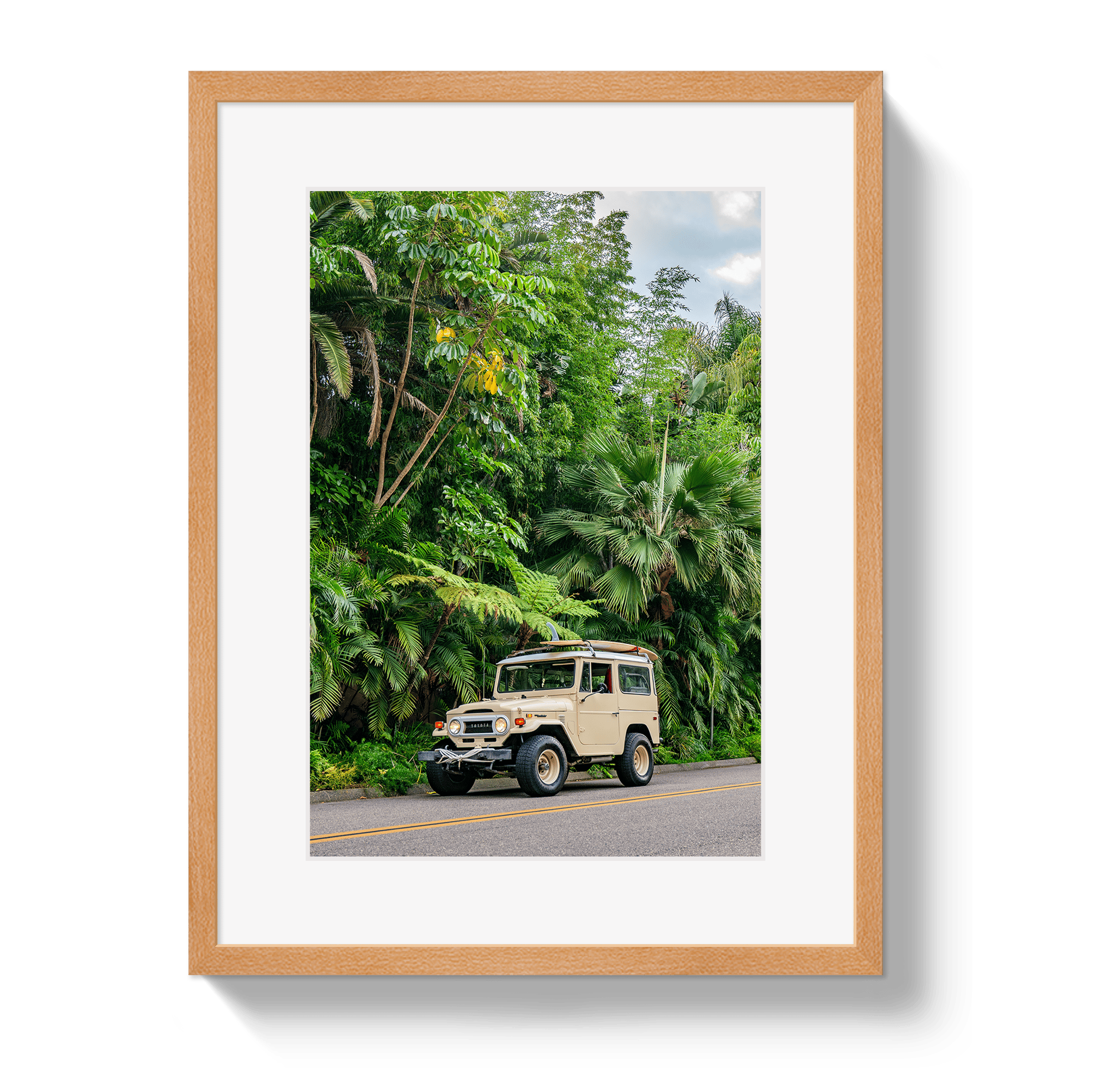 Johnny Vacay Oak / 11x14 / Border Tropical FJ 2
