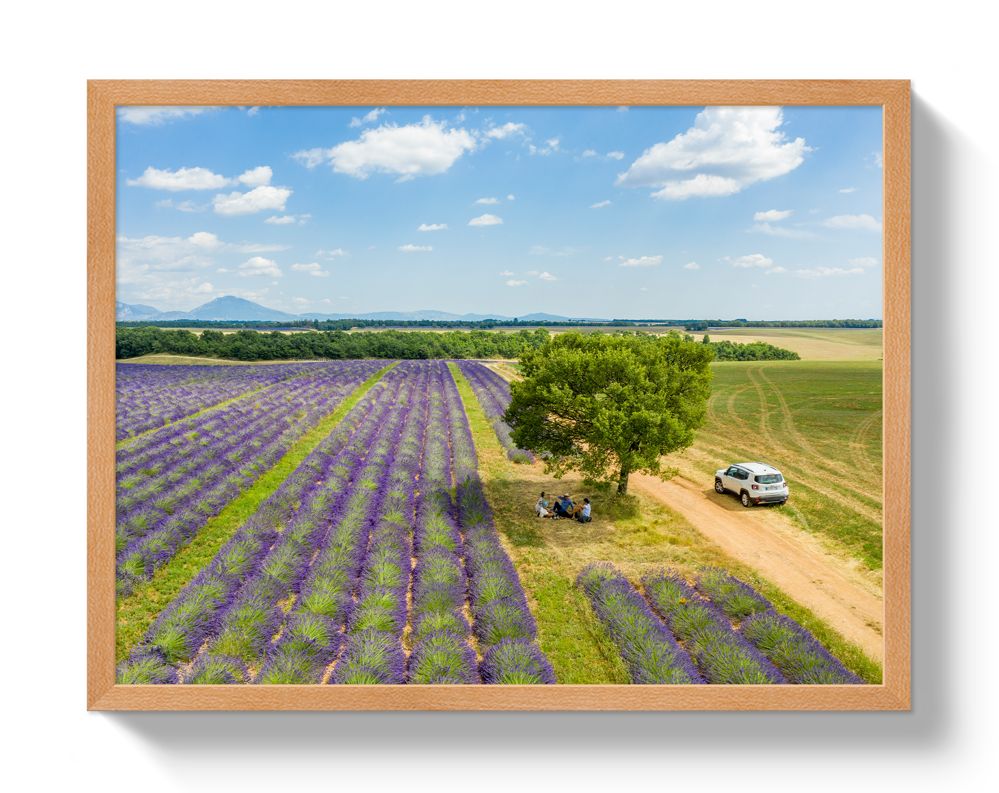 Provence Picnic