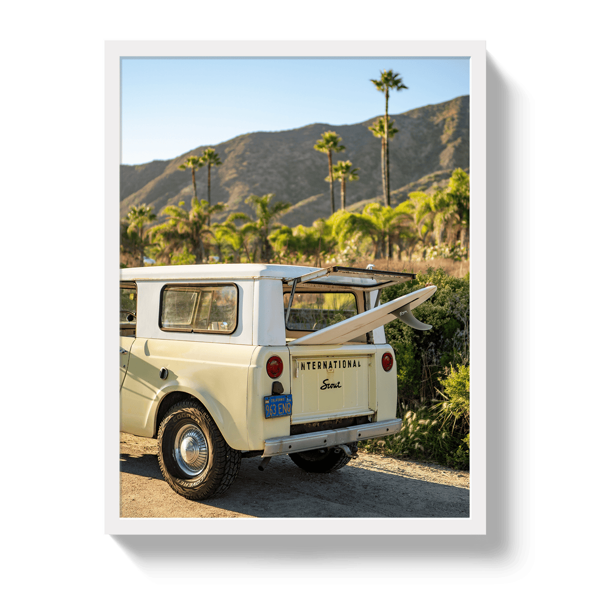Johnny Vacay White / 11x14 / Full Bleed Scout Palms