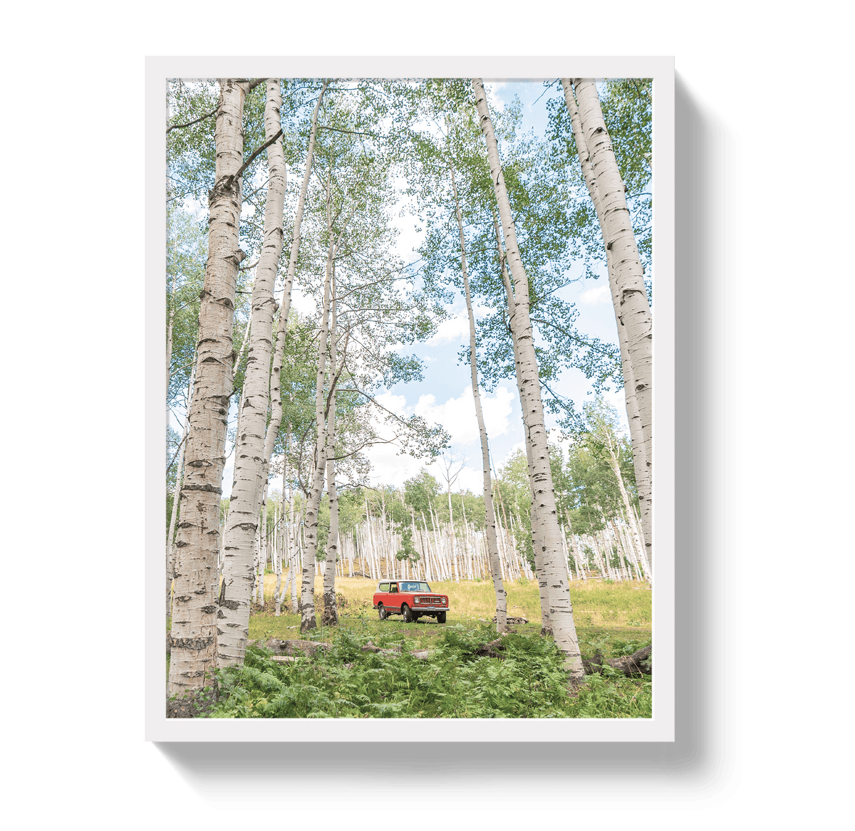 Johnny Vacay White / 11x14 / Full Bleed Aspen Scout