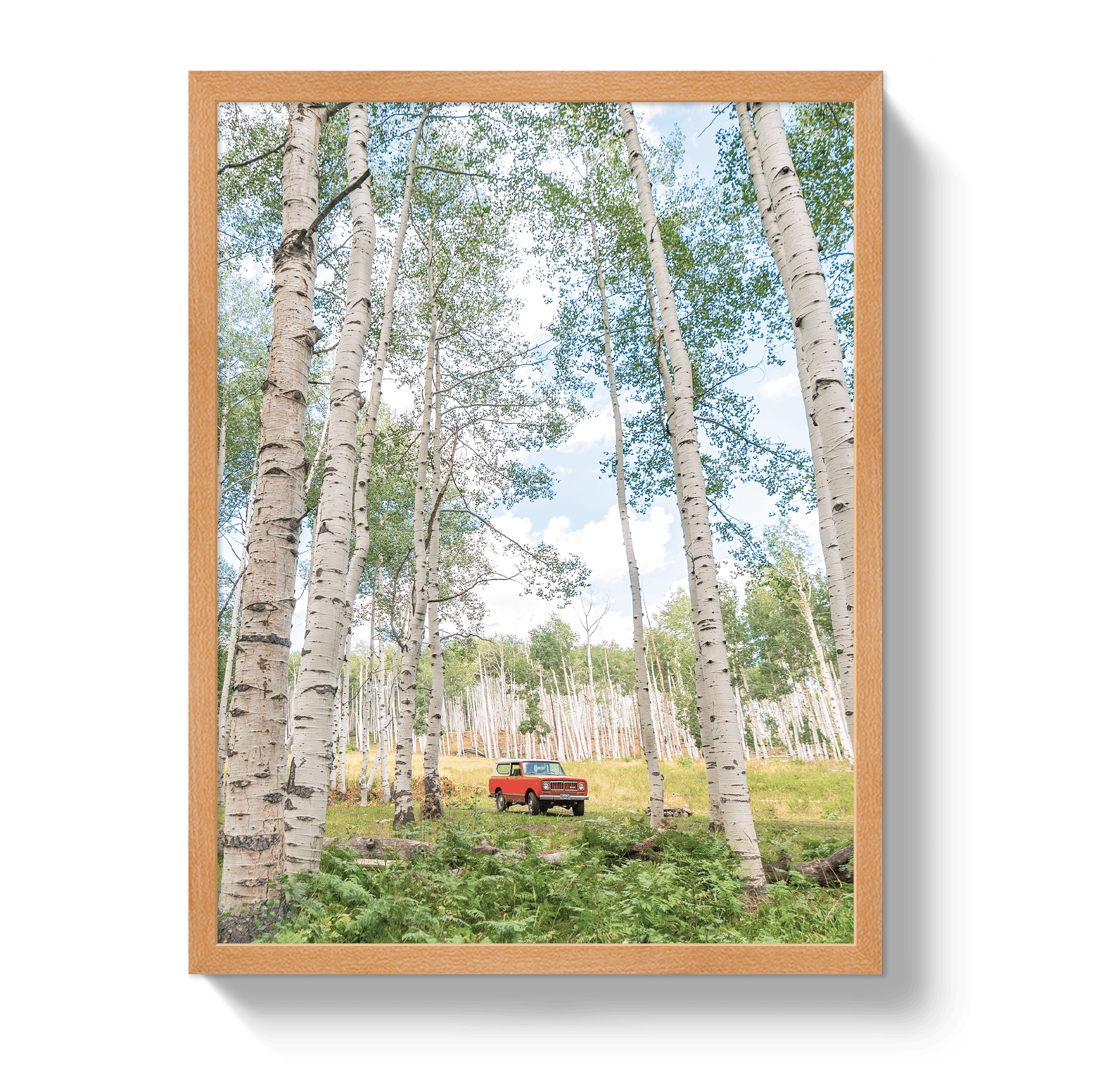 Johnny Vacay Oak / 11x14 / Full Bleed Aspen Scout