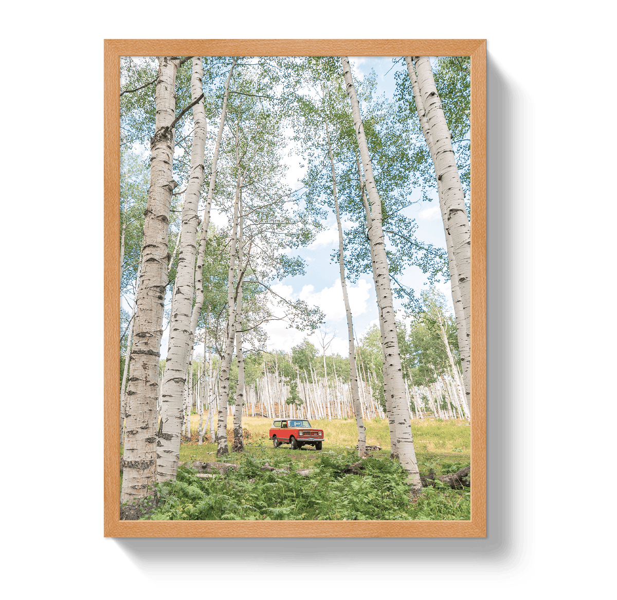 Johnny Vacay Oak / 11x14 / Full Bleed Aspen Scout