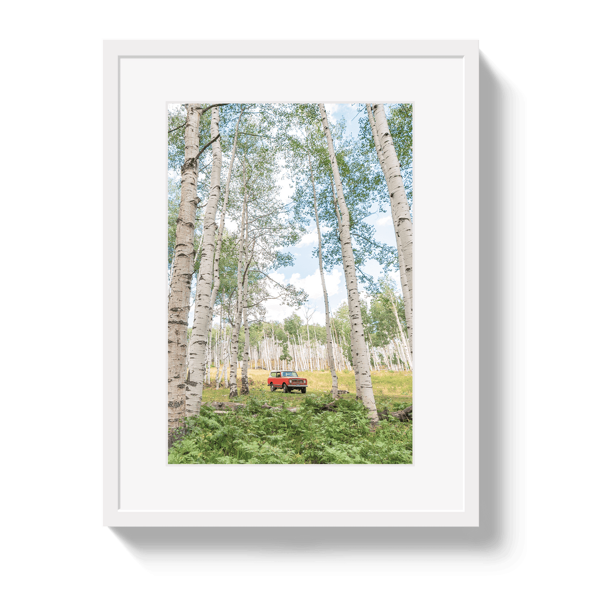 Johnny Vacay White / 11x14 / Border Aspen Scout