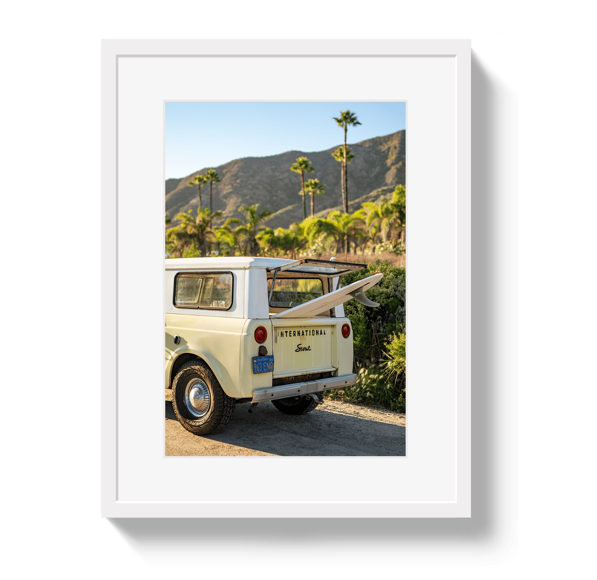 Johnny Vacay White / 11x14 / Matte Scout Palms