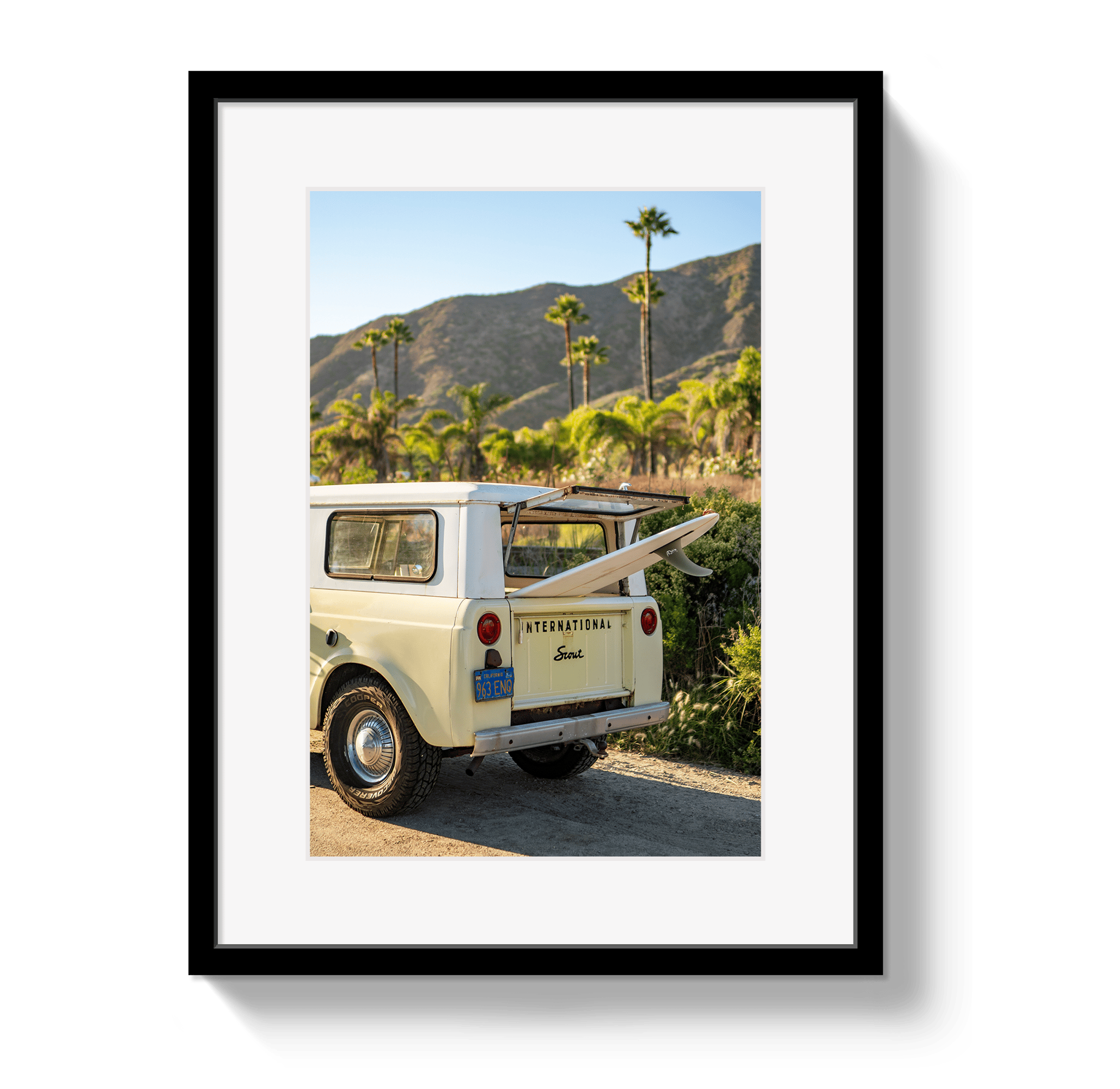 Johnny Vacay Black / 11x14 / Matte Scout Palms