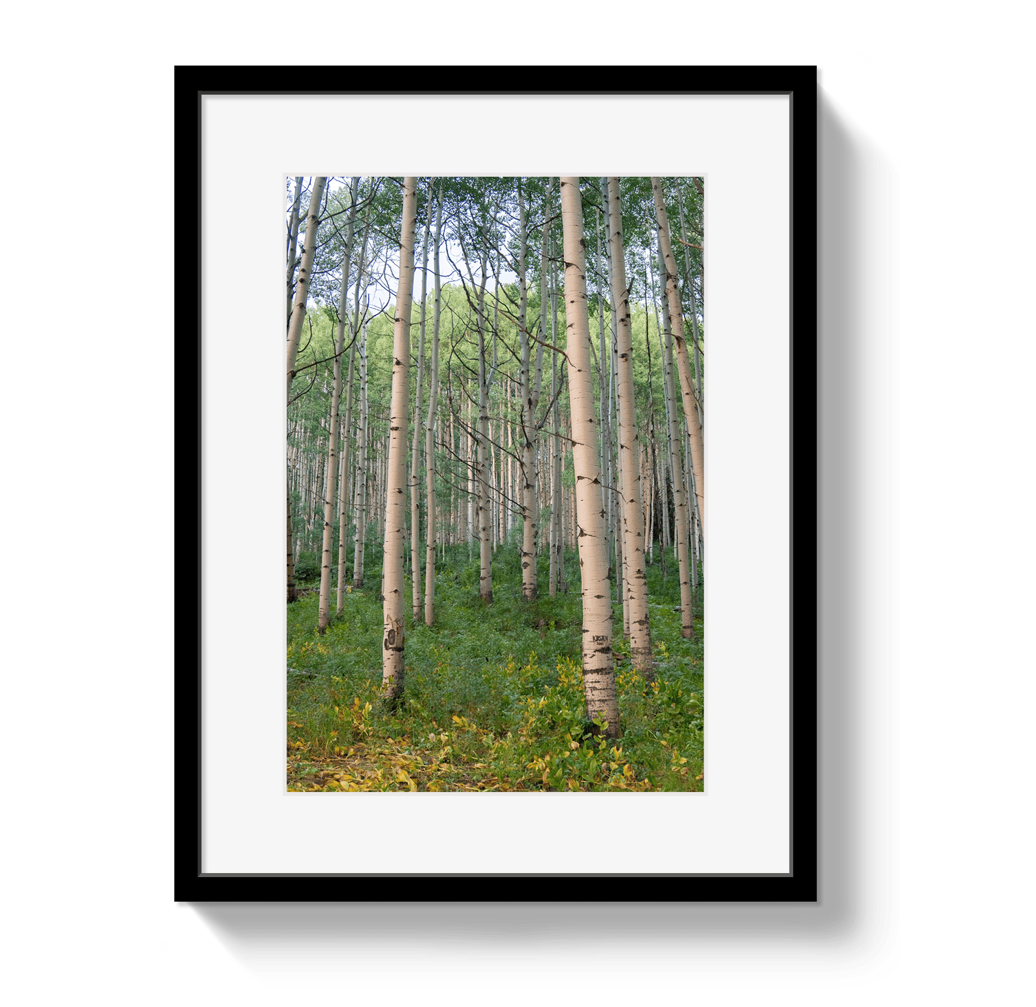 Johnny Vacay Black / 11x14 / Matte Aspen Grove