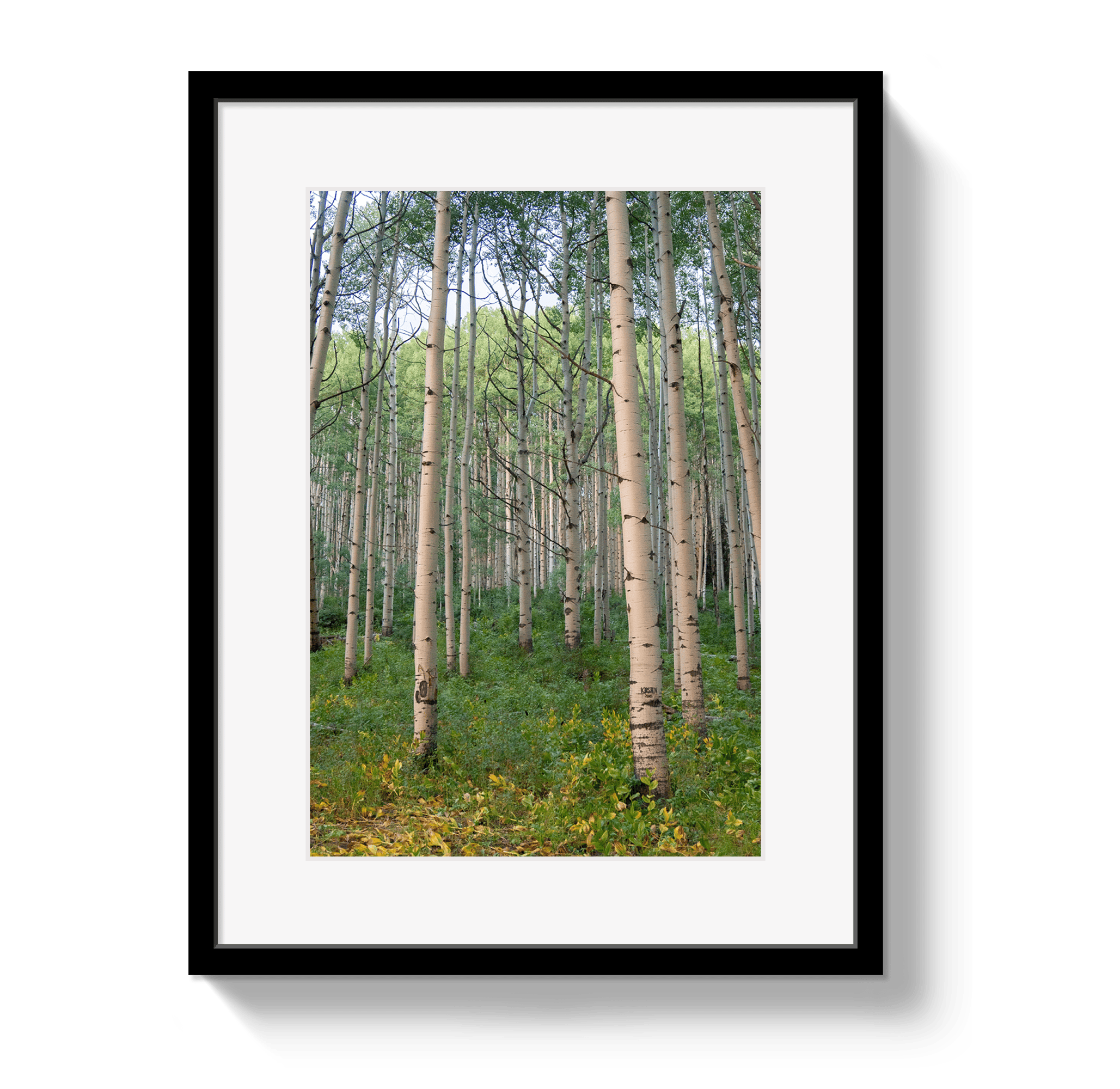 Johnny Vacay Black / 11x14 / Border Aspen Grove