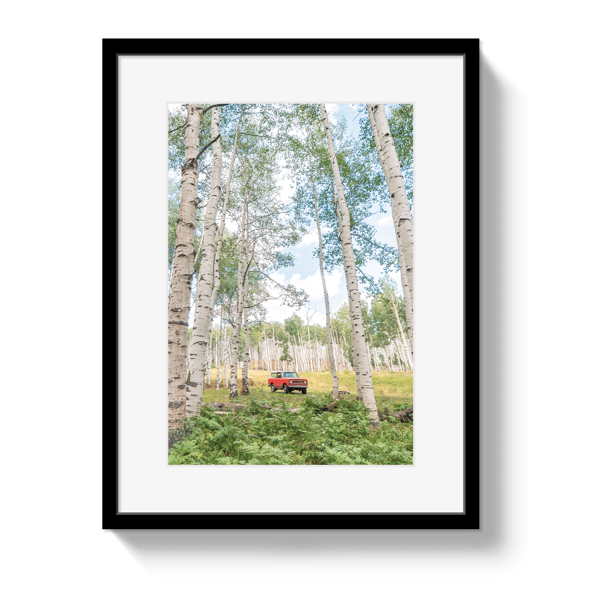 Framed photograph of a red truck in a forest with birch trees