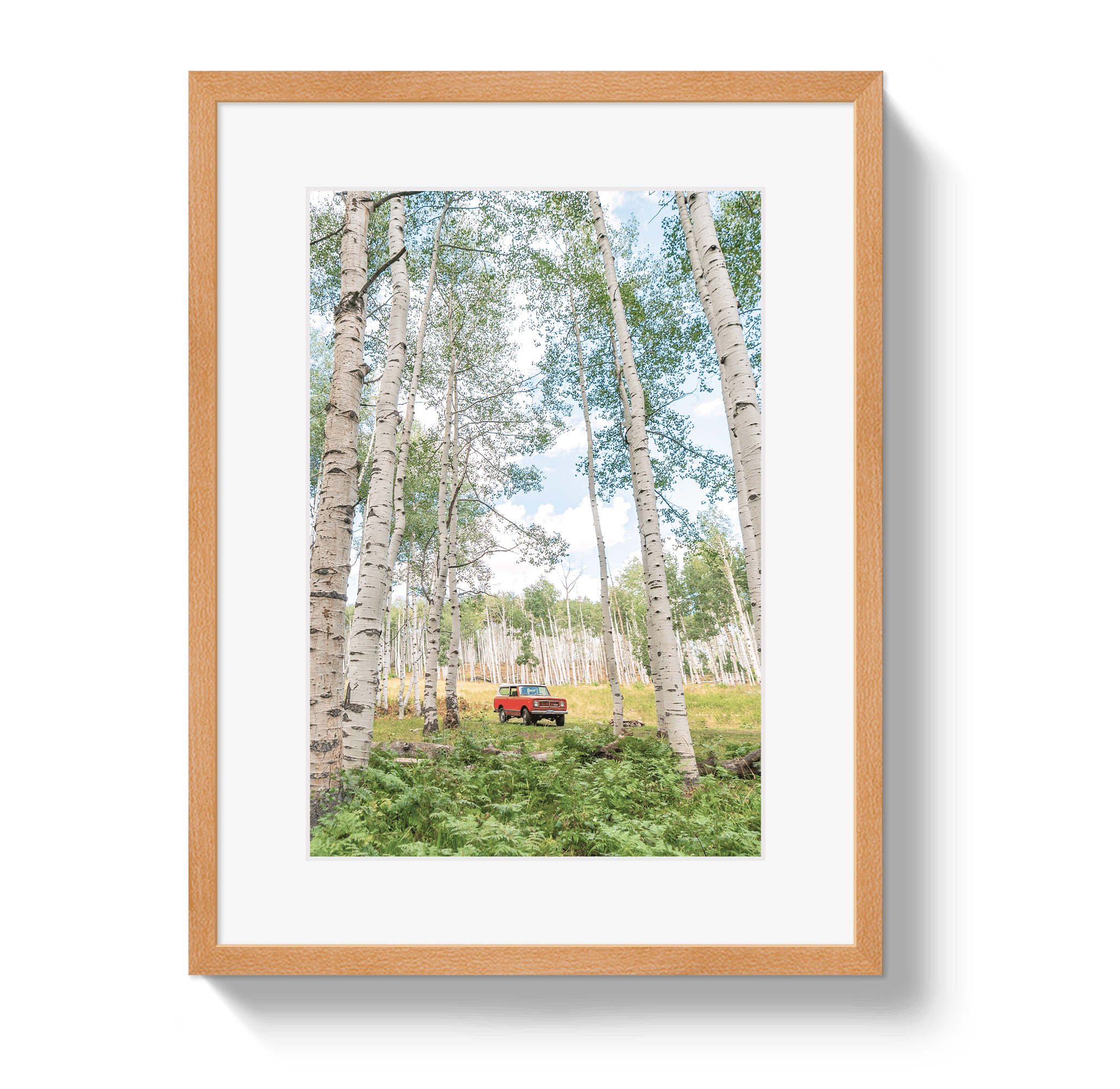 Johnny Vacay Oak / 11x14 / Matte Aspen Scout