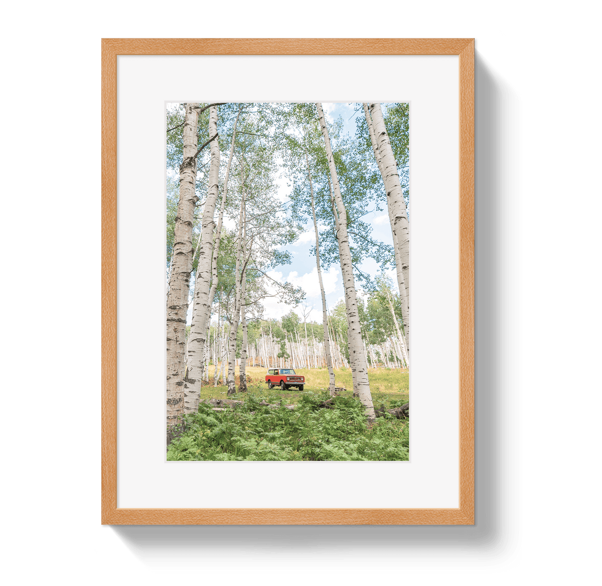 Johnny Vacay Oak / 11x14 / Border Aspen Scout