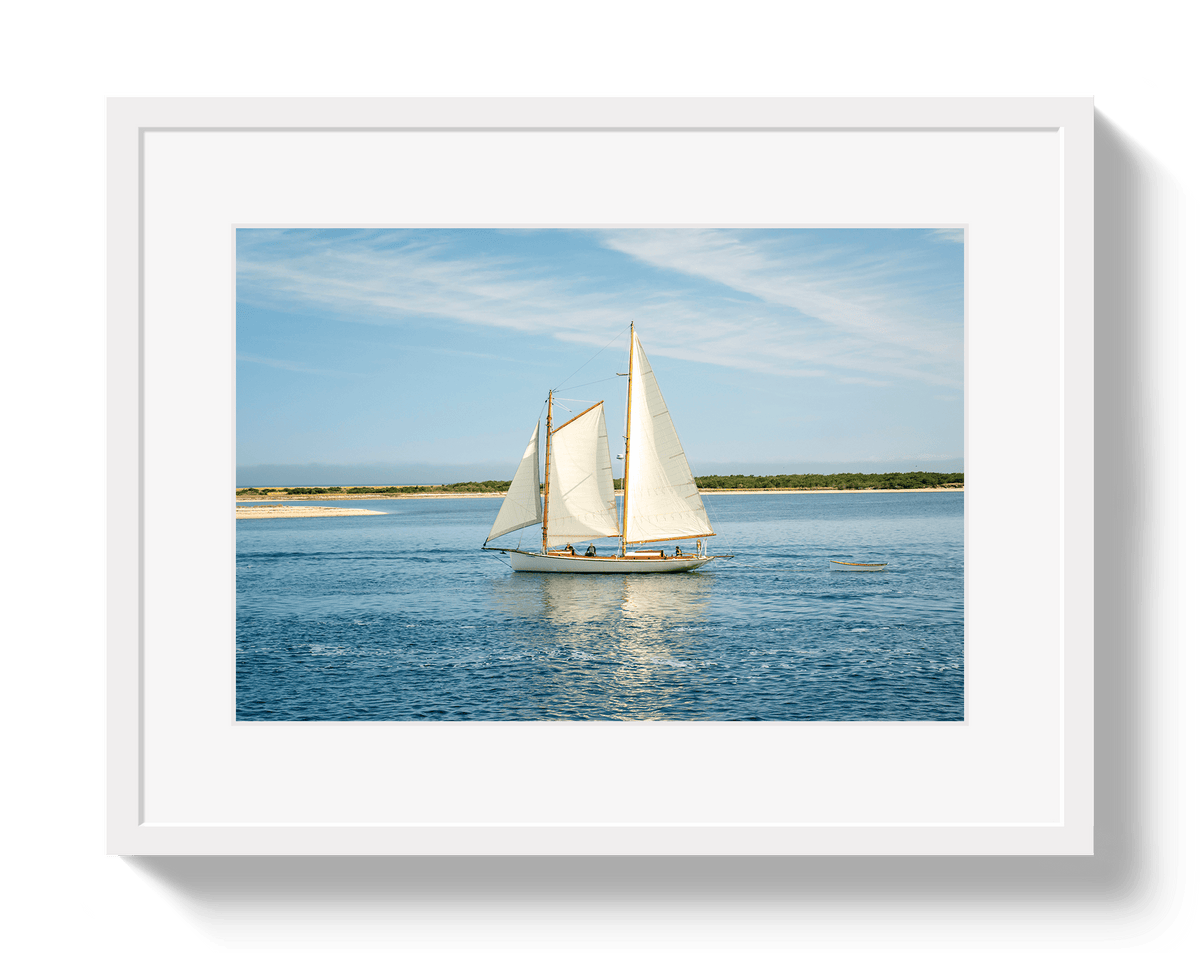 Johnny Vacay White / 11x14 / Border Full Sail