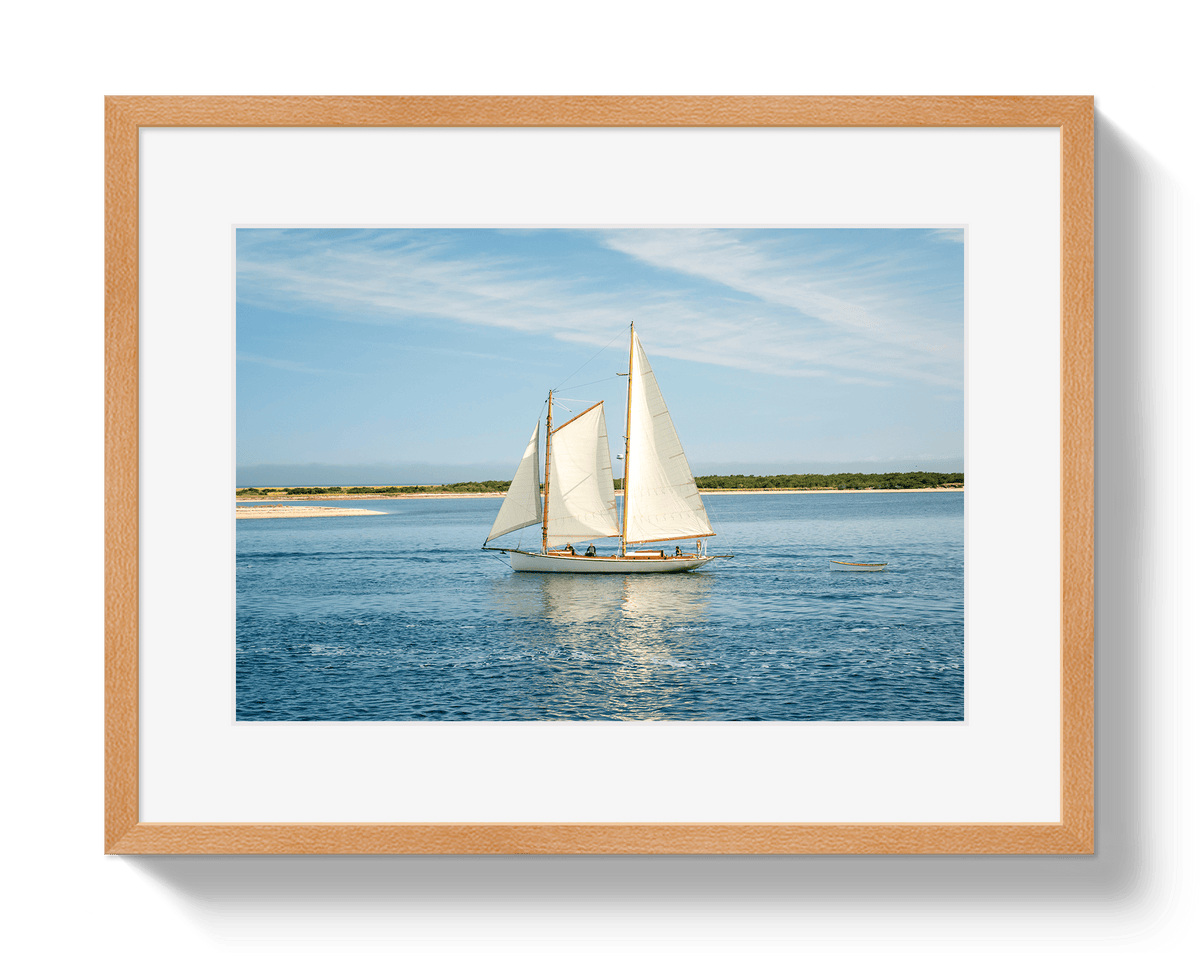 Johnny Vacay Oak / 11x14 / Border Full Sail