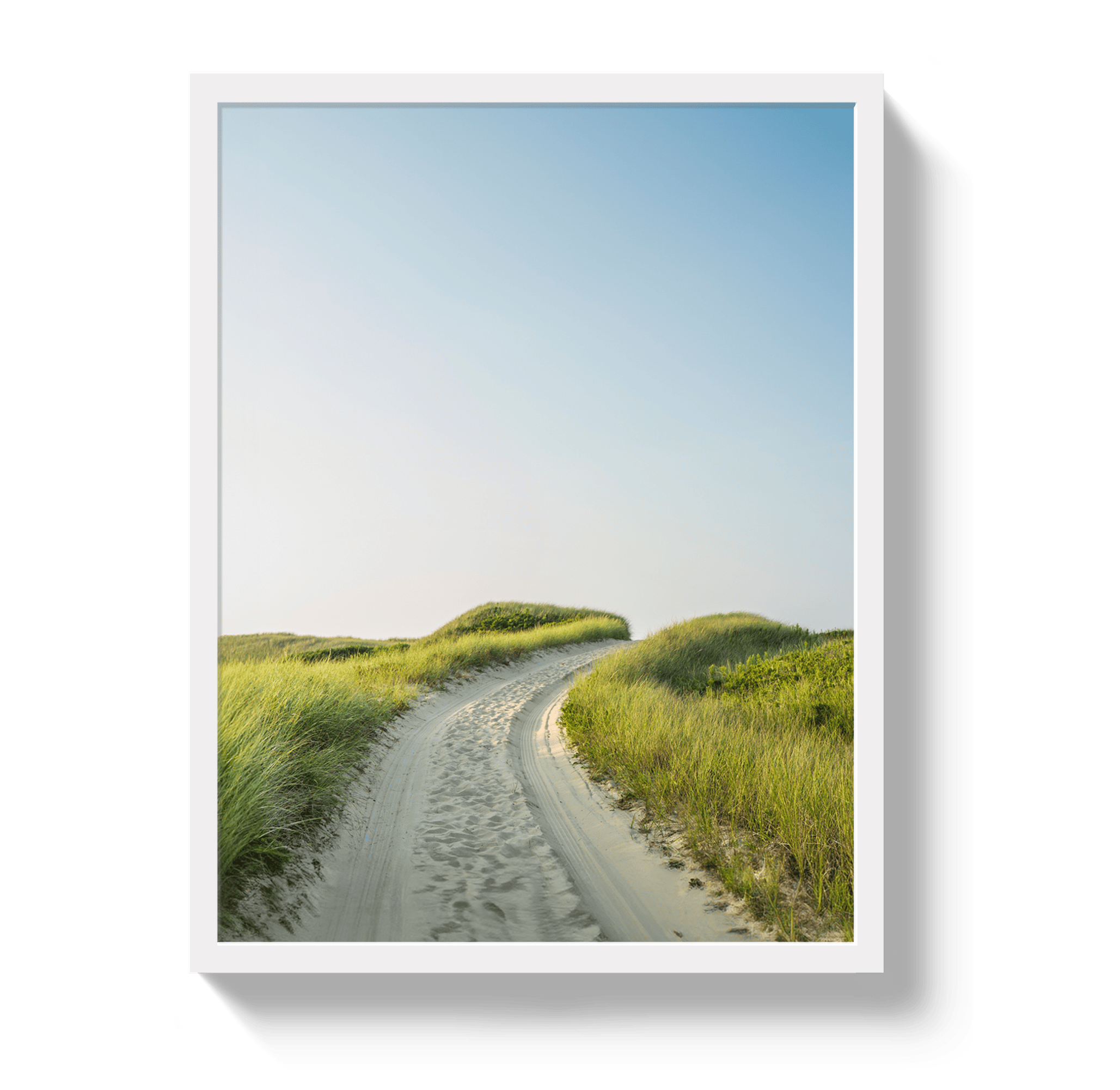 Johnny Vacay White / 11x14 / Full Bleed Nantucket Avenue