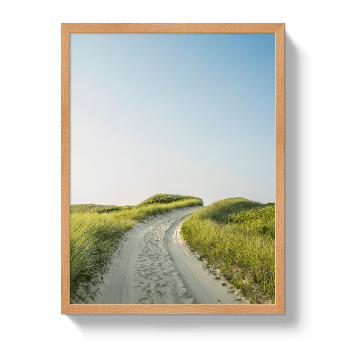 Johnny Vacay Oak / 11x14 / Full Bleed Nantucket Avenue