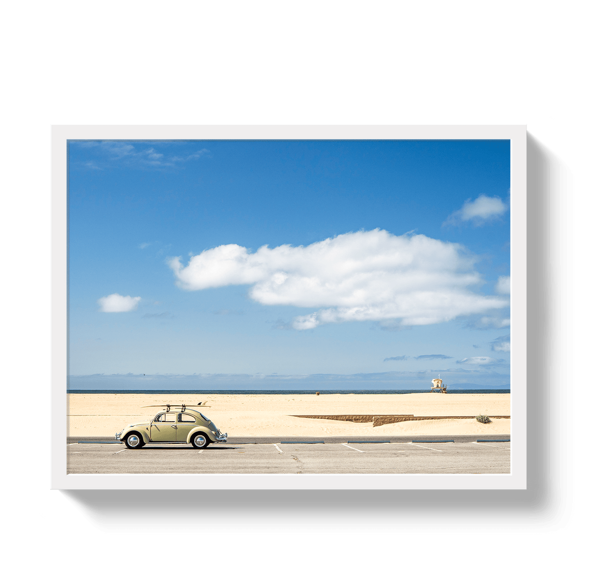 Johnny Vacay White / 11x14 / Full Bleed Beetle