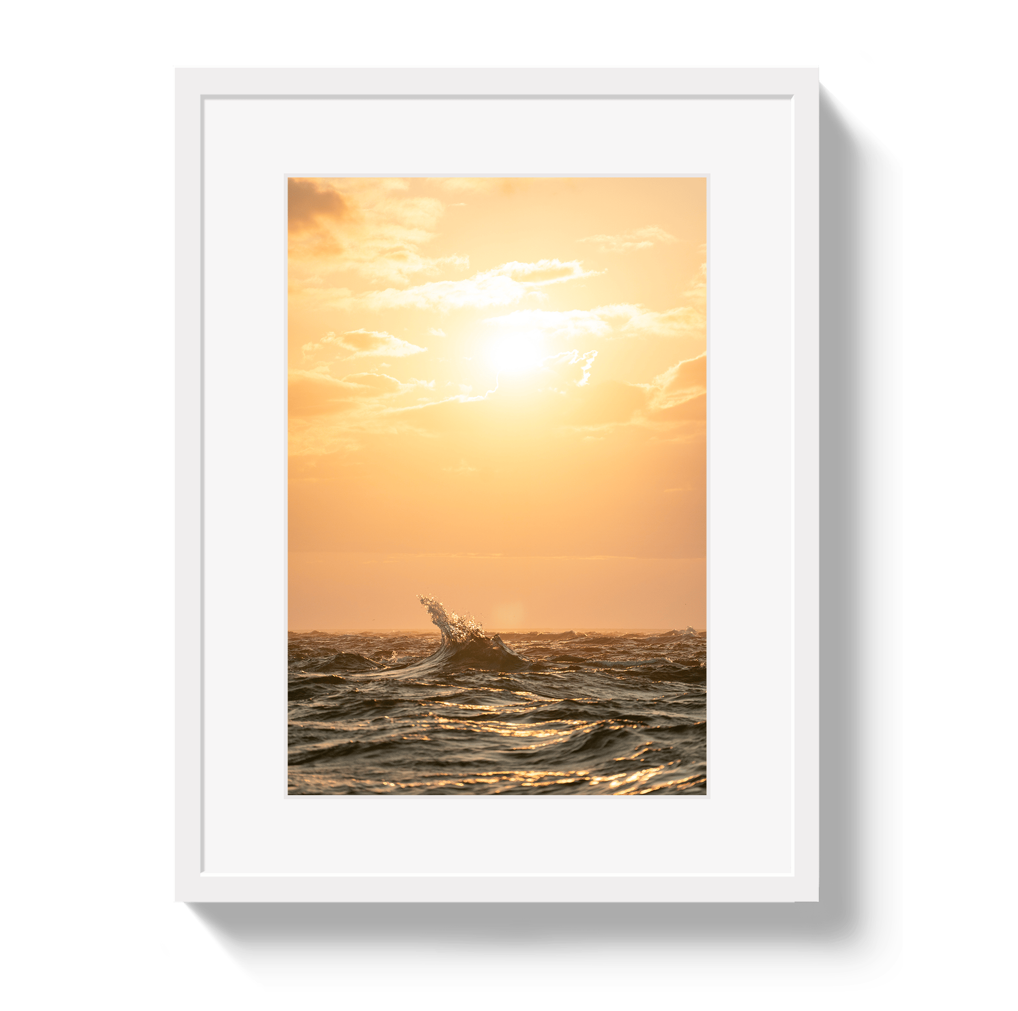 Johnny Vacay White / 11x14 / Border Moment In Time