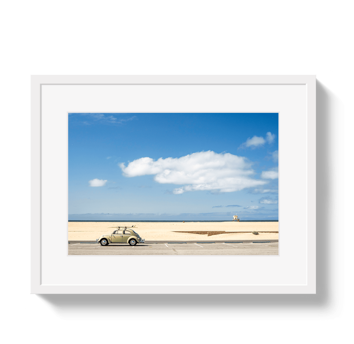 Johnny Vacay White / 11x14 / Border Beetle