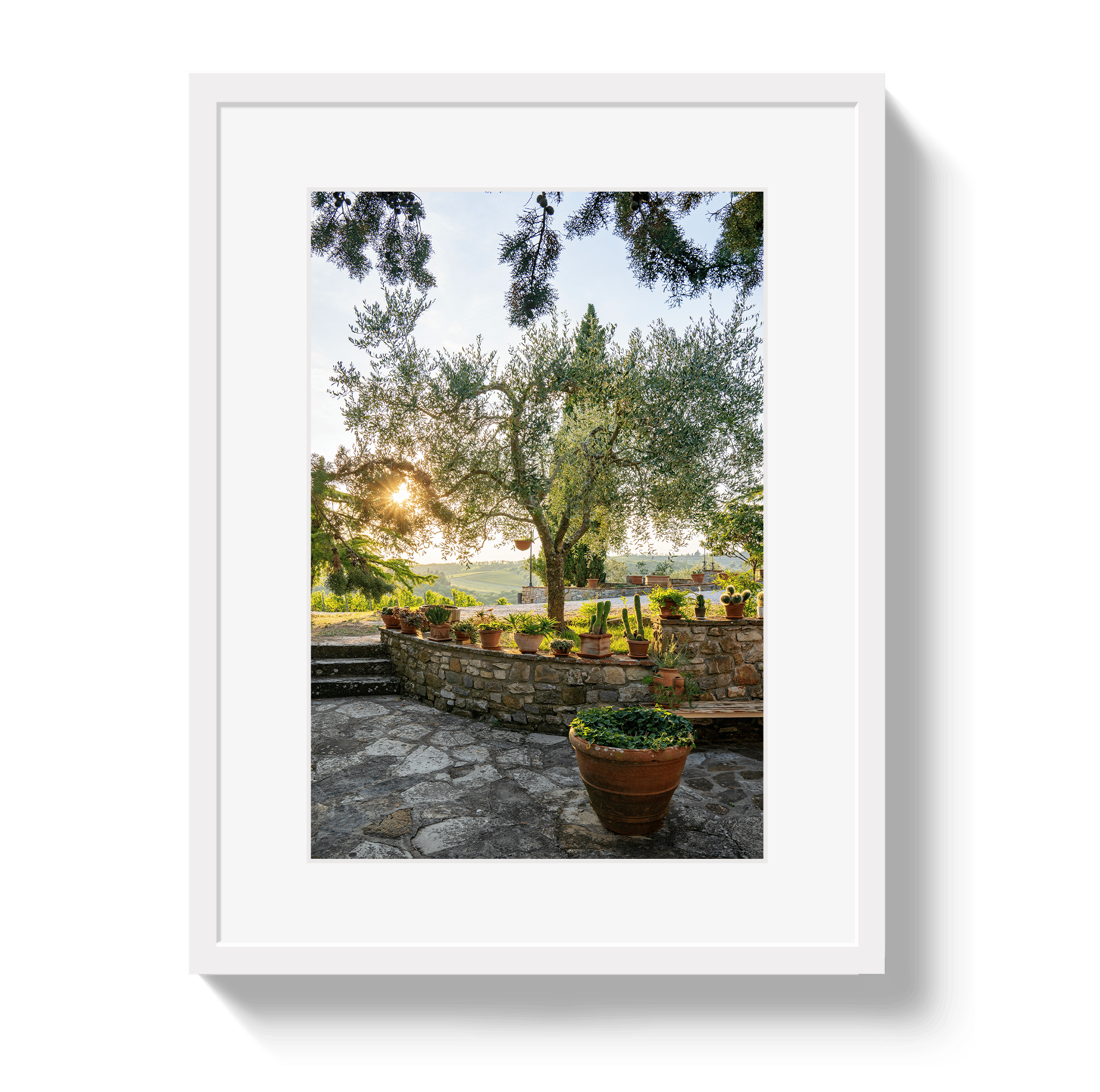 Johnny Vacay White / 11x14 / Matte Garden View