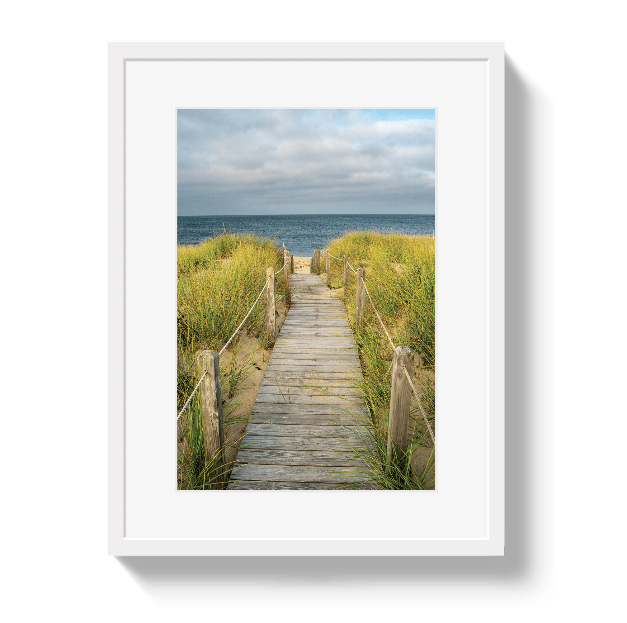 Johnny Vacay White / 11x14 / Matte Path To Heaven