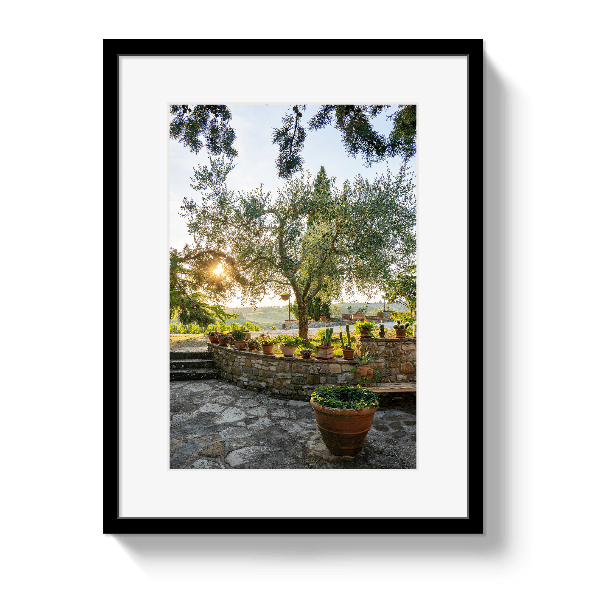 Johnny Vacay Black / 11x14 / Matte Garden View