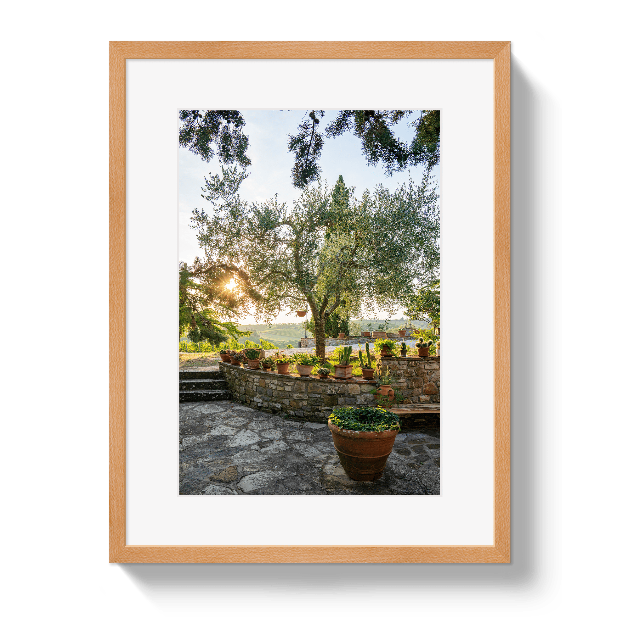 Johnny Vacay Oak / 11x14 / Matte Garden View