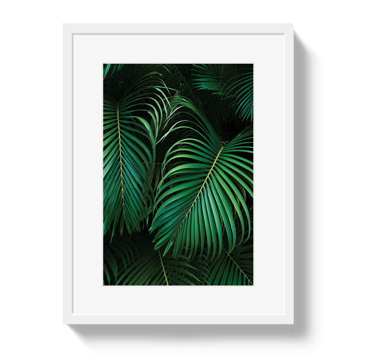 Johnny Vacay White / 11x14 / Border Palm