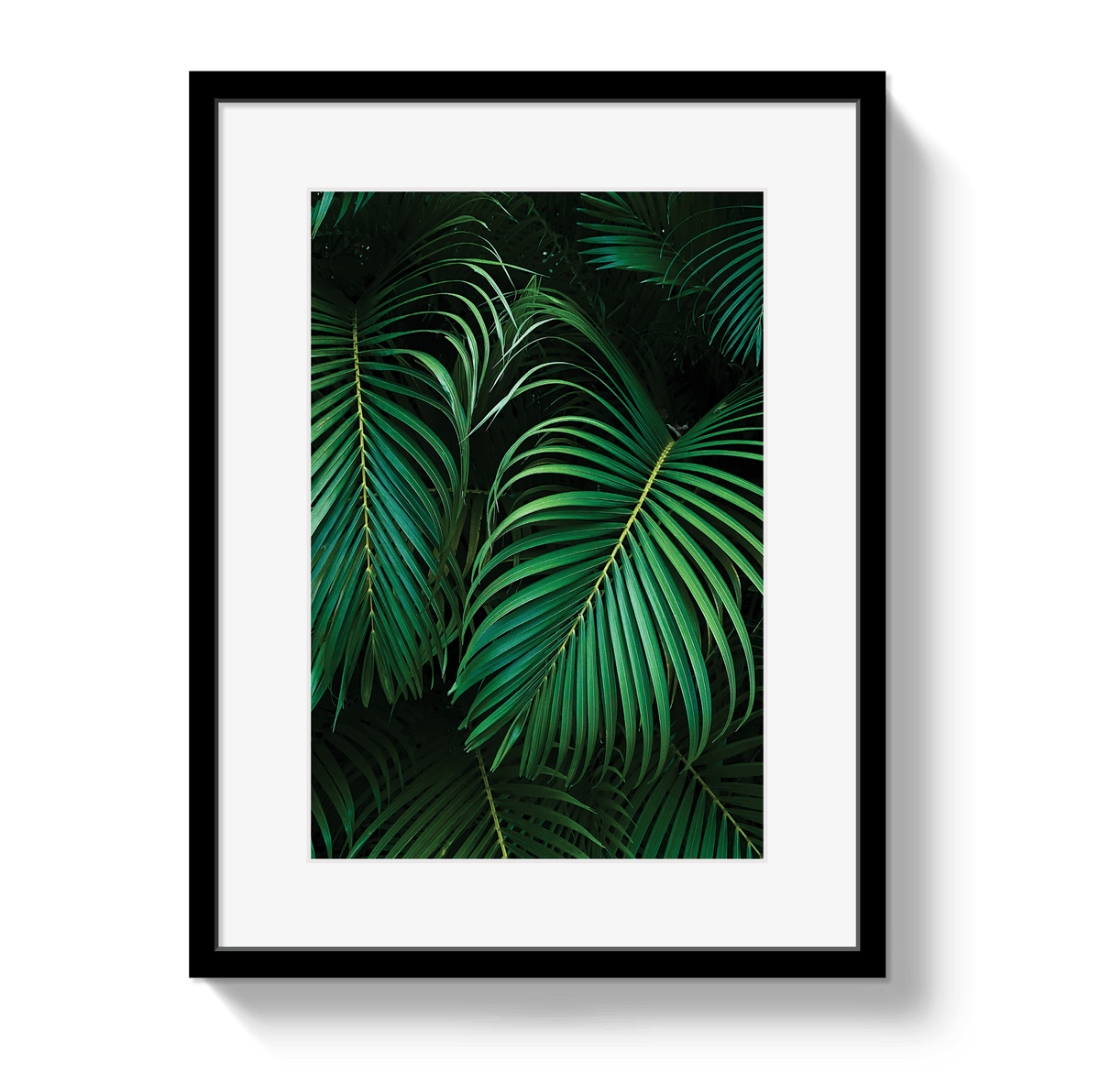 Johnny Vacay Black / 11x14 / Border Palm