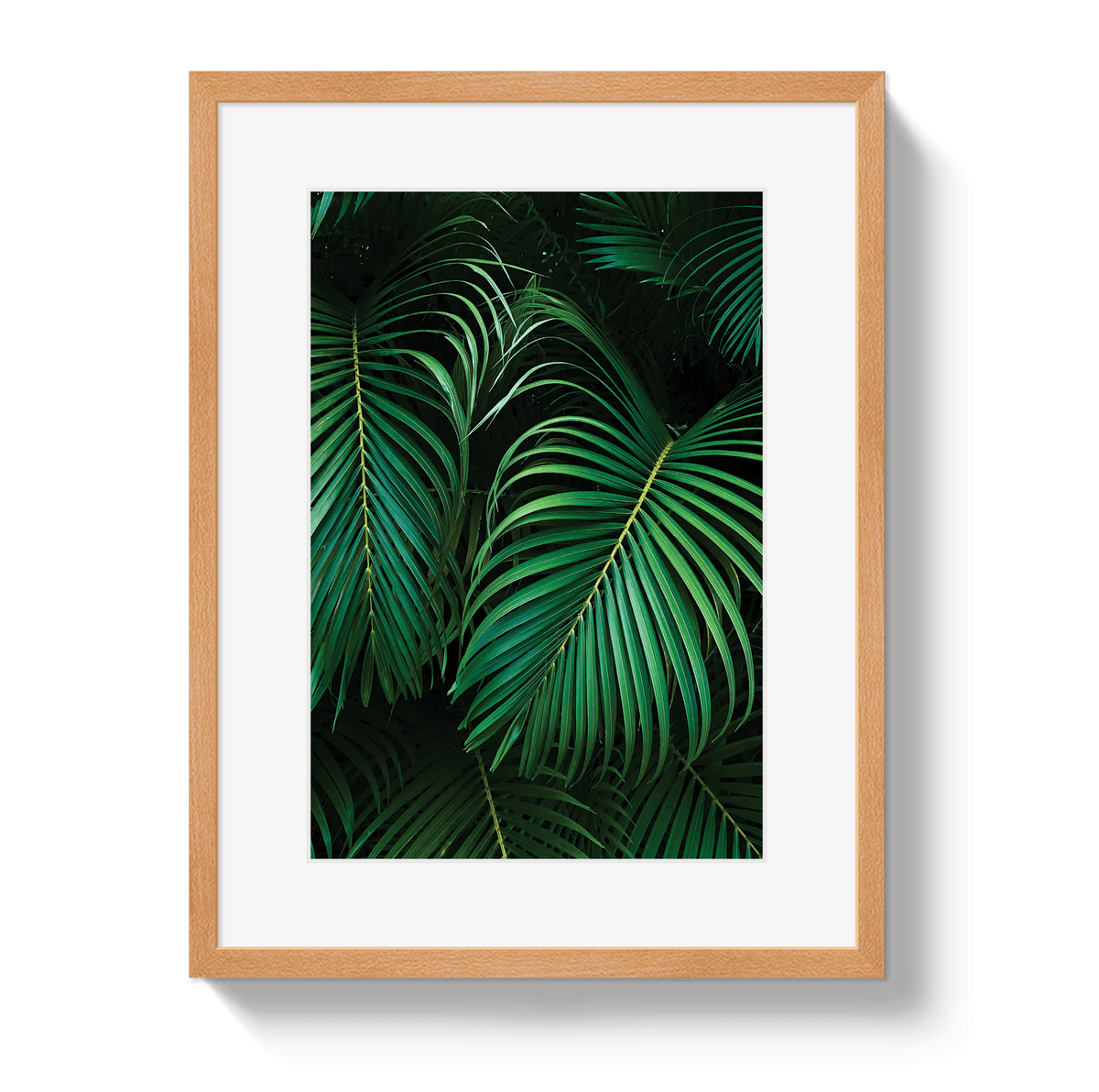 Johnny Vacay Oak / 11x14 / Border Palm