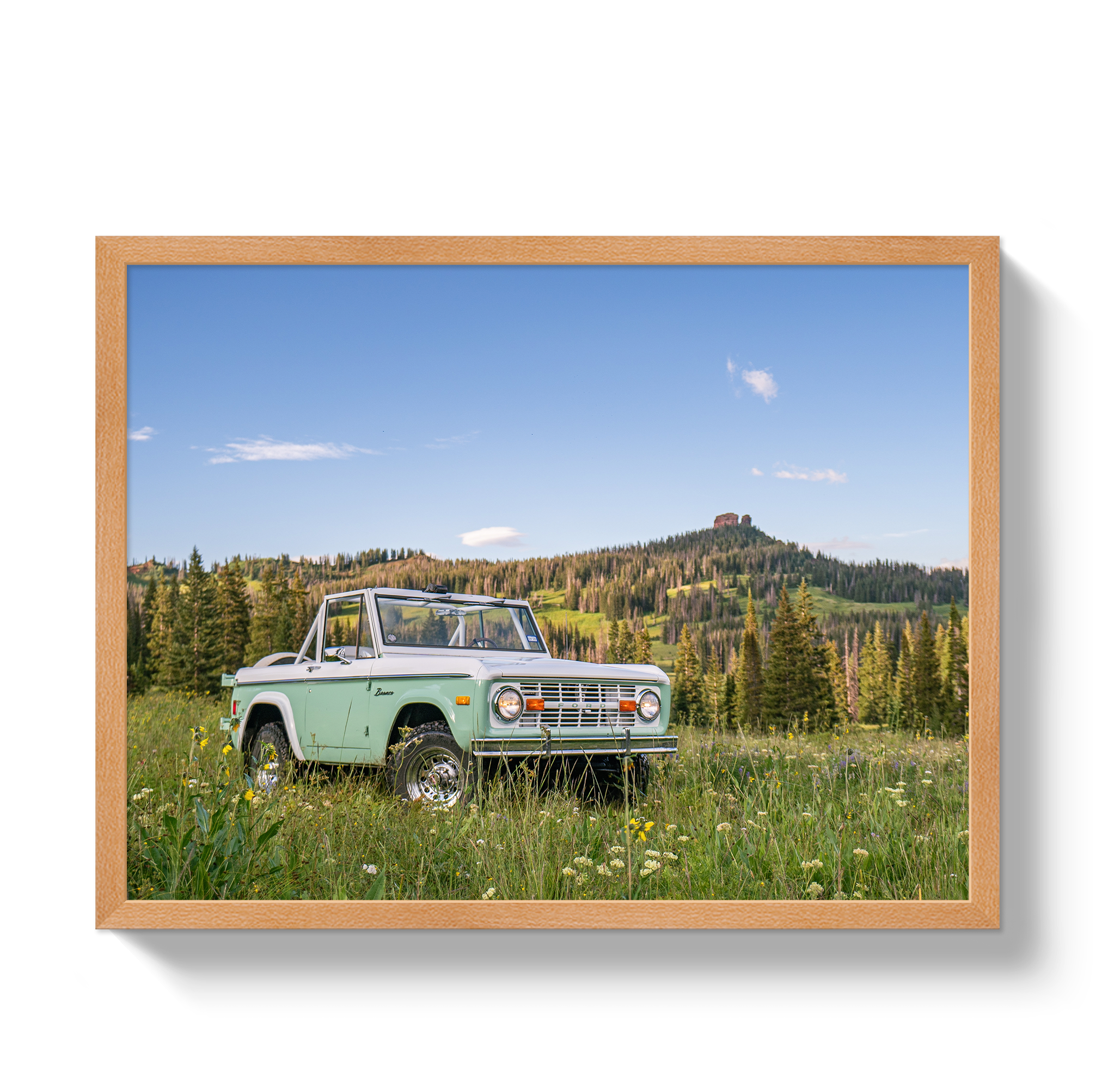 Bronco View 2