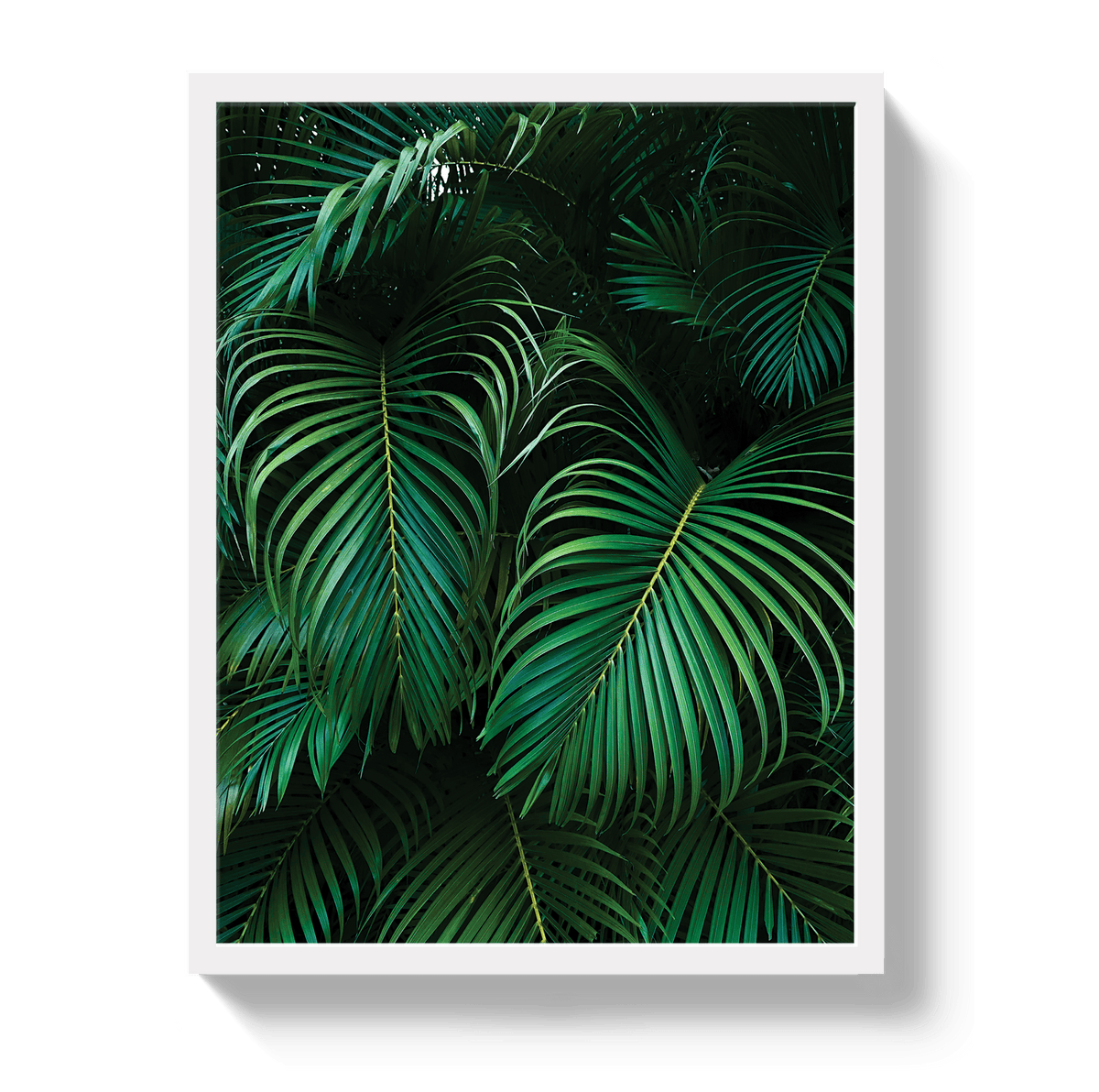 Johnny Vacay White / 11x14 / Full Bleed Palm