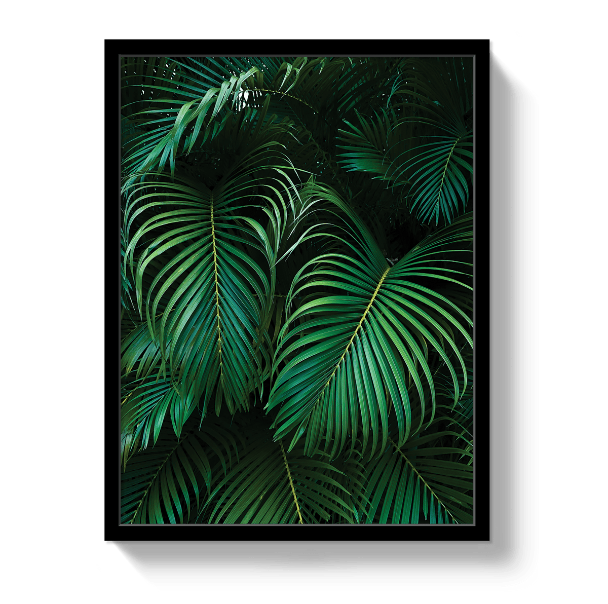 Johnny Vacay Black / 11x14 / Full Bleed Palm