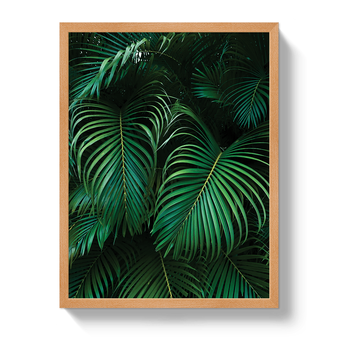 Johnny Vacay Oak / 11x14 / Full Bleed Palm